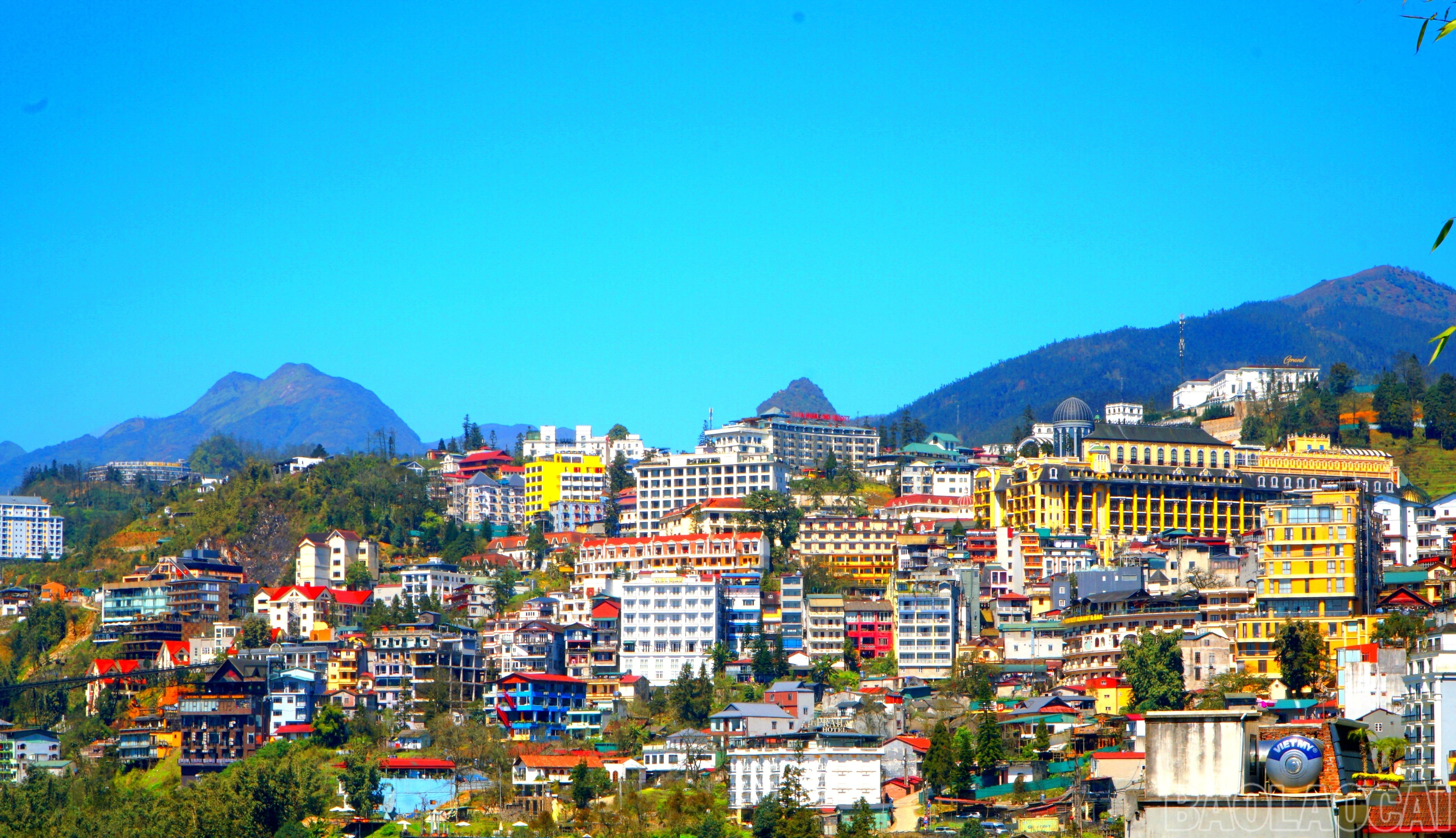 baolaocai-br_img-20250227-163940.jpg