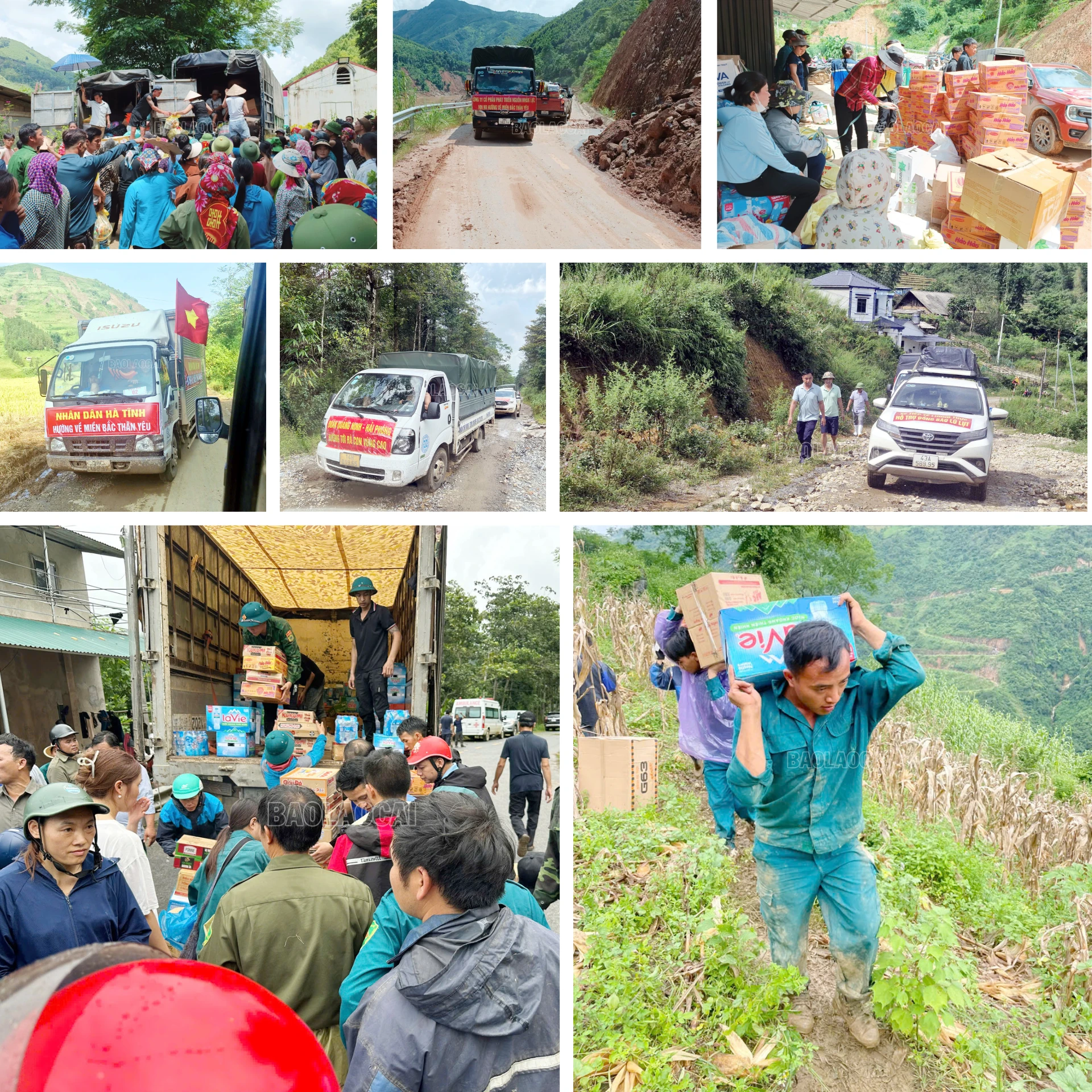 diem-tua-trong-bao-giong-15.png