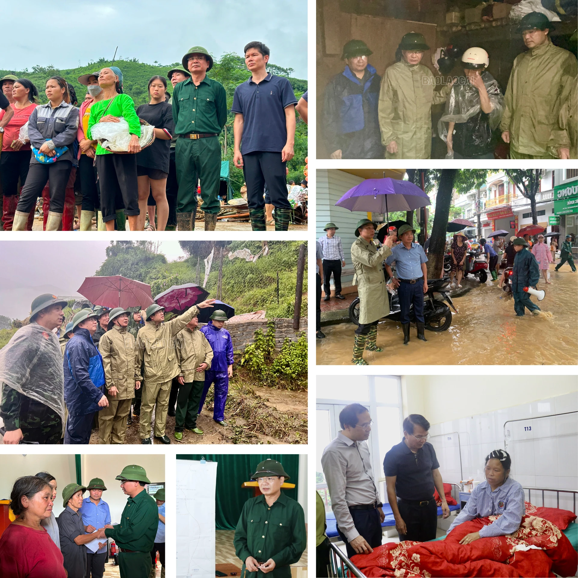 diem-tua-trong-bao-giong-27.png