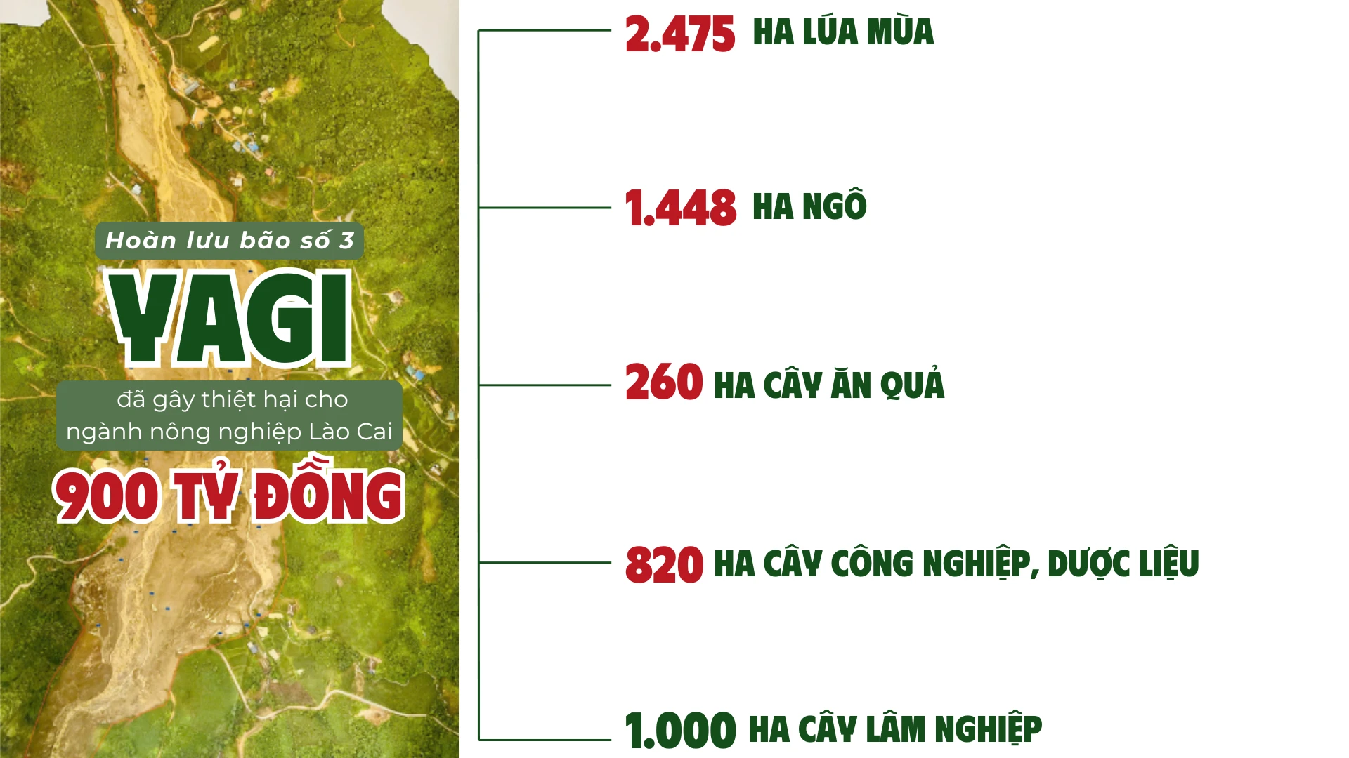 tai-thiet-xanh-sau-thien-tai-4009.png