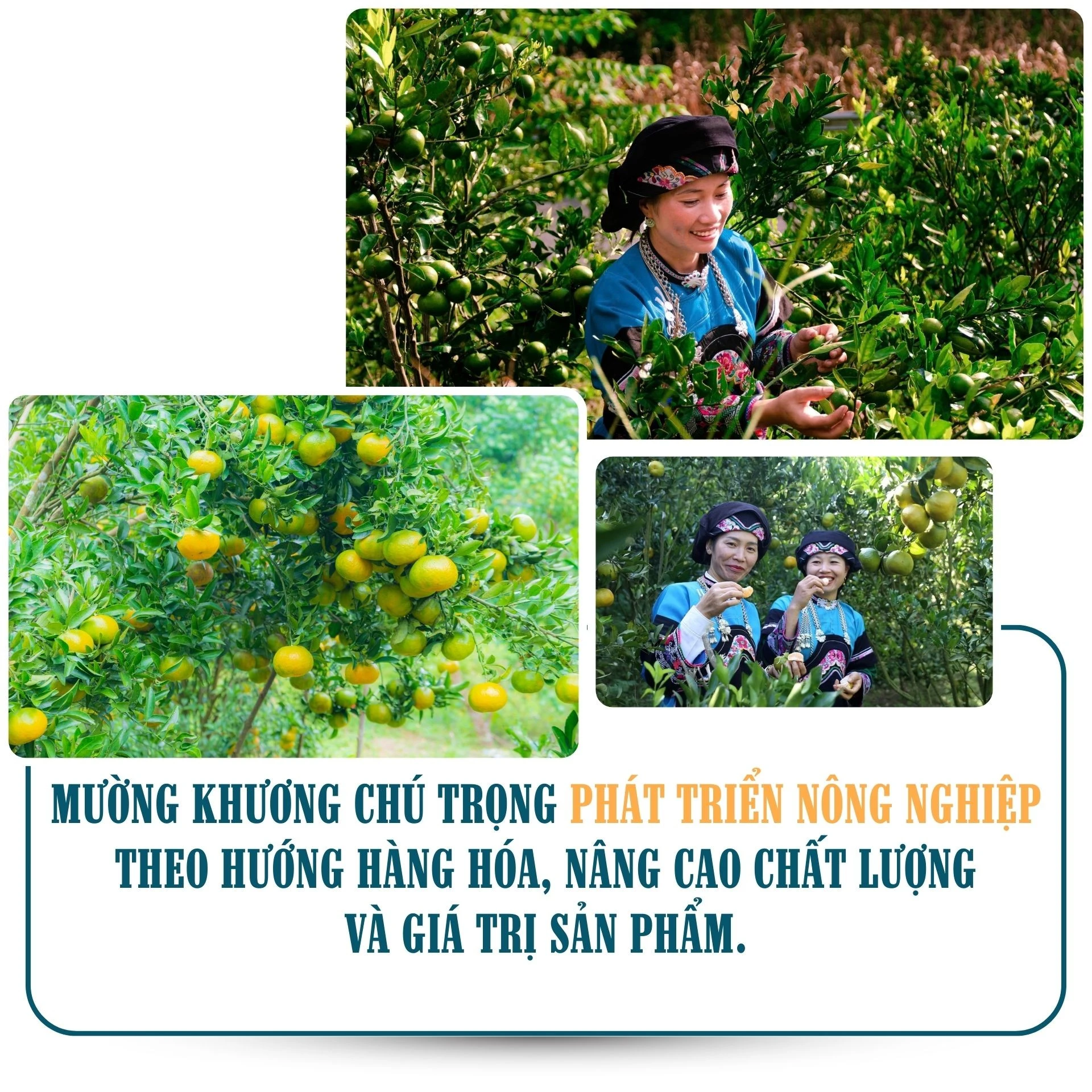 muong-khuong-1.jpg