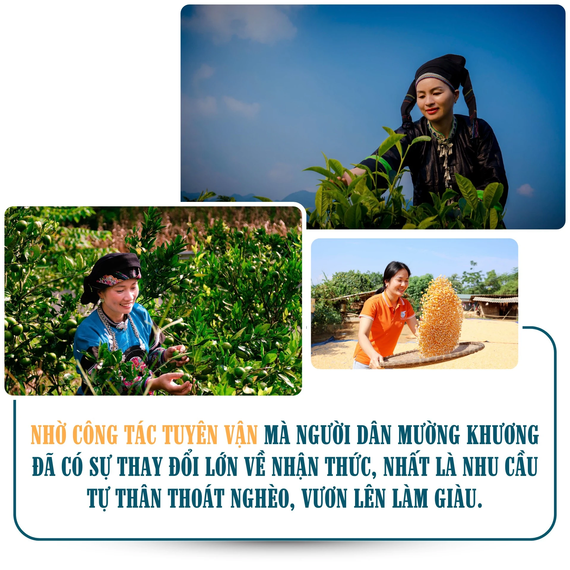 muong-khuong-2.png