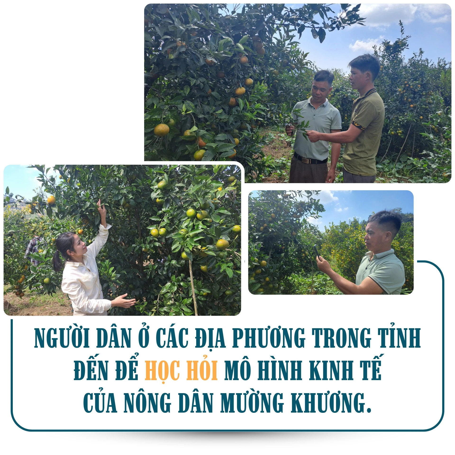 muong-khuong-5.png