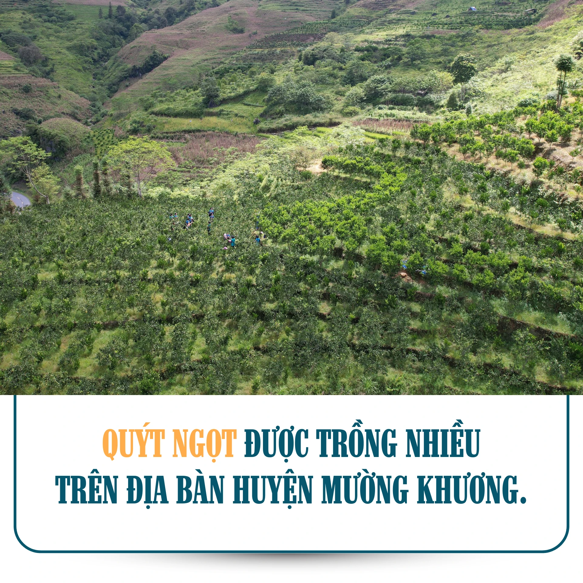 muong-khuong-722.png