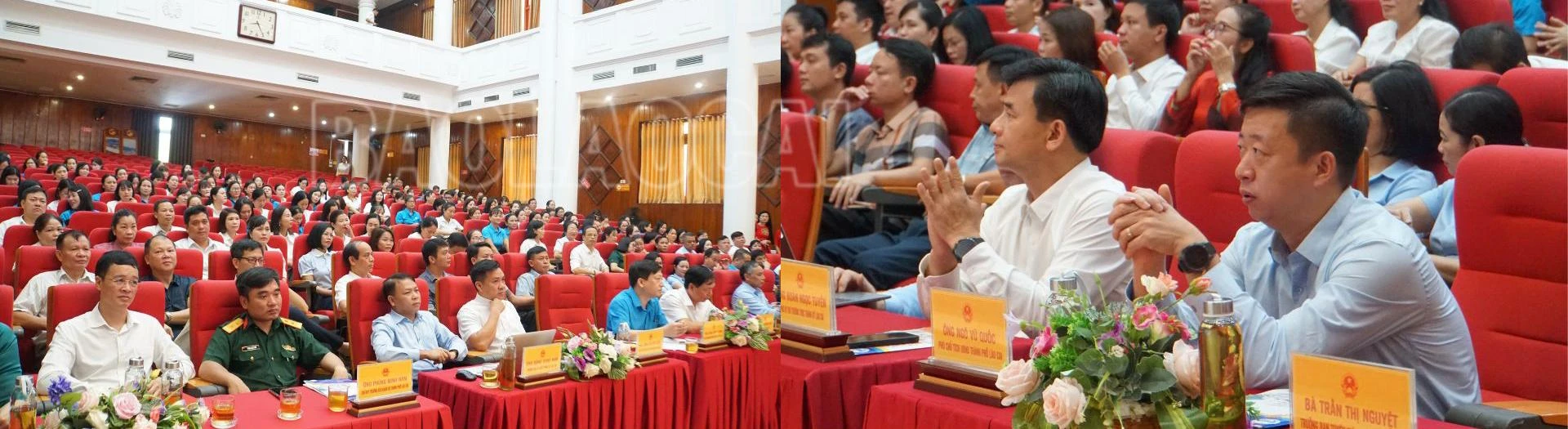 sưef.png