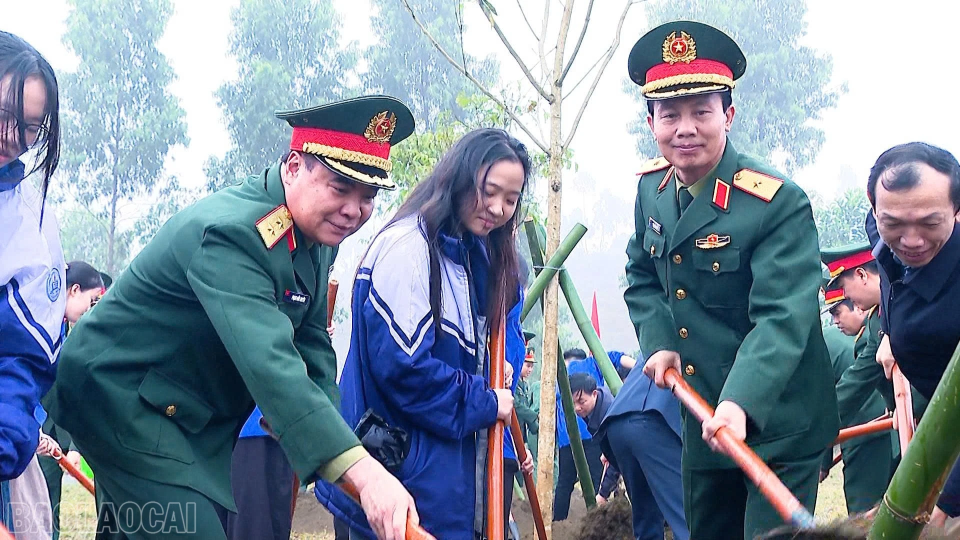 baolaocai-bl_z7552905746165-19329f78cdf58df95a42e79af45e759f.jpg