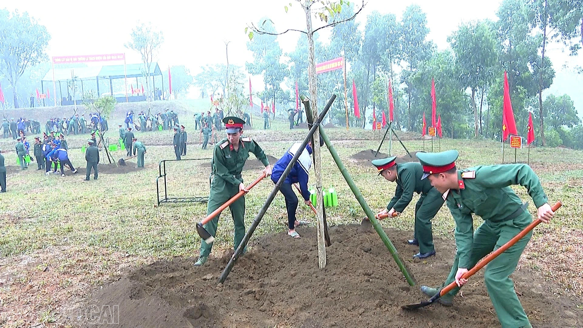baolaocai-bl_z7552905915347-c498df0c960e61b777dc1a3573c98708.jpg