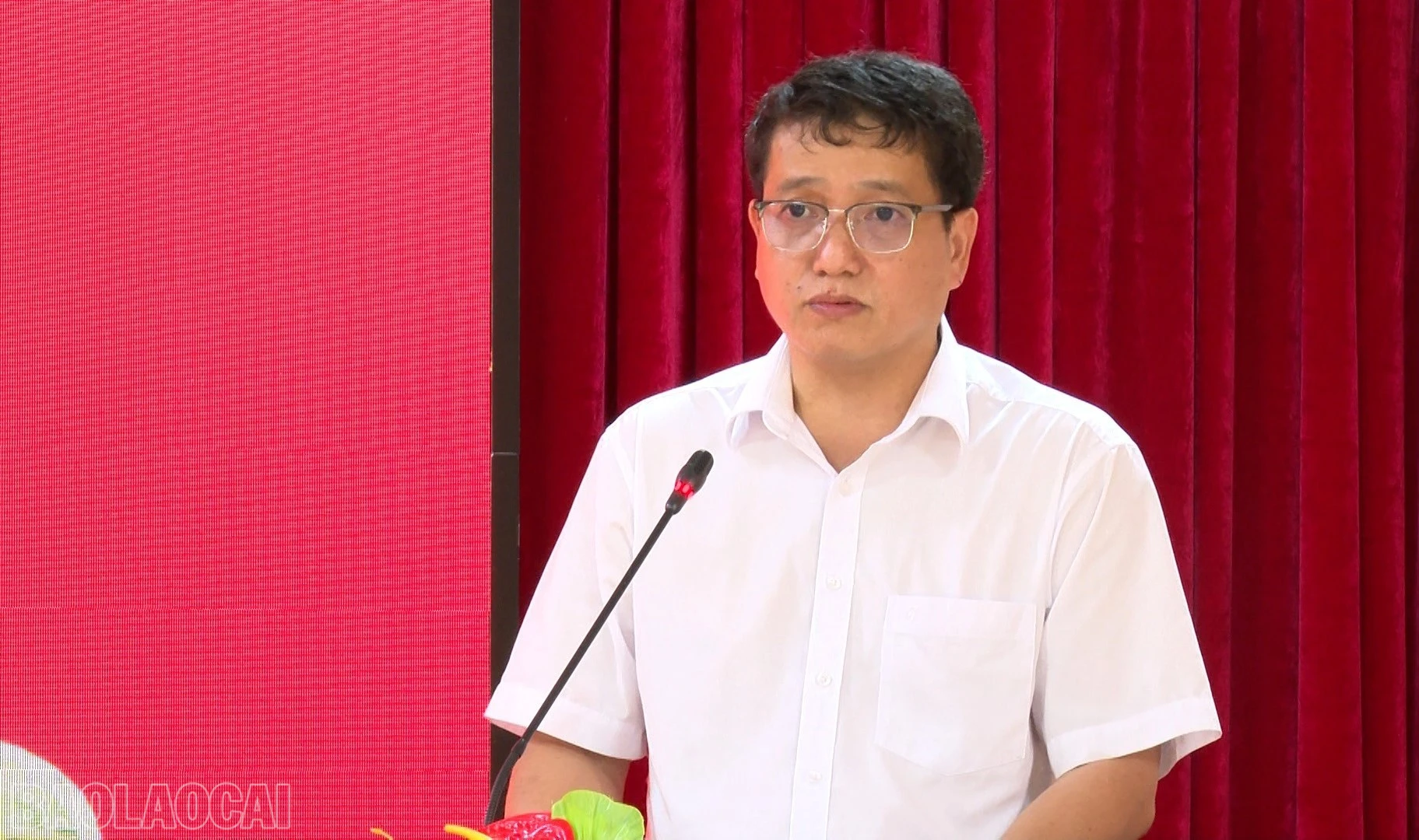 baolaocai-bl_anh-2.jpg