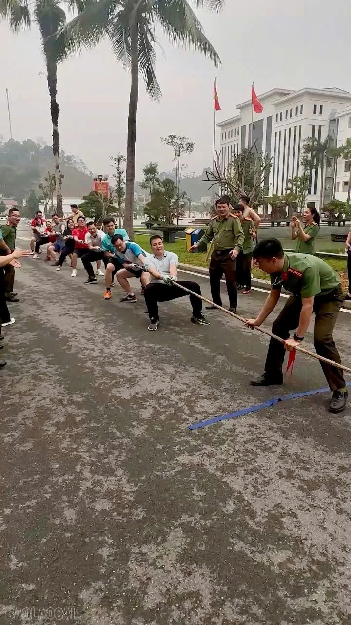 baolaocai-bl_z7690691840450-a8838a93d81b73203f89cb062f275e00.jpg