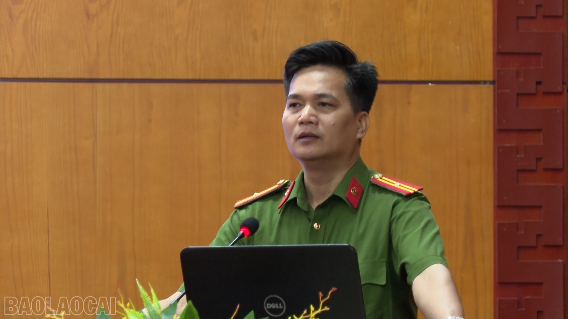 baolaocai-bl_anhr-5.jpg