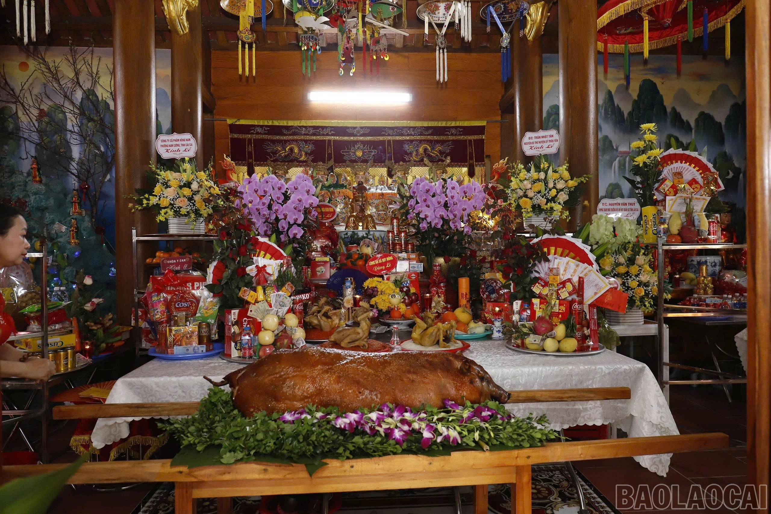baolaocai-br_z7585596420868-c0a753c8b68c3b3f7dcc862532256ab4.jpg