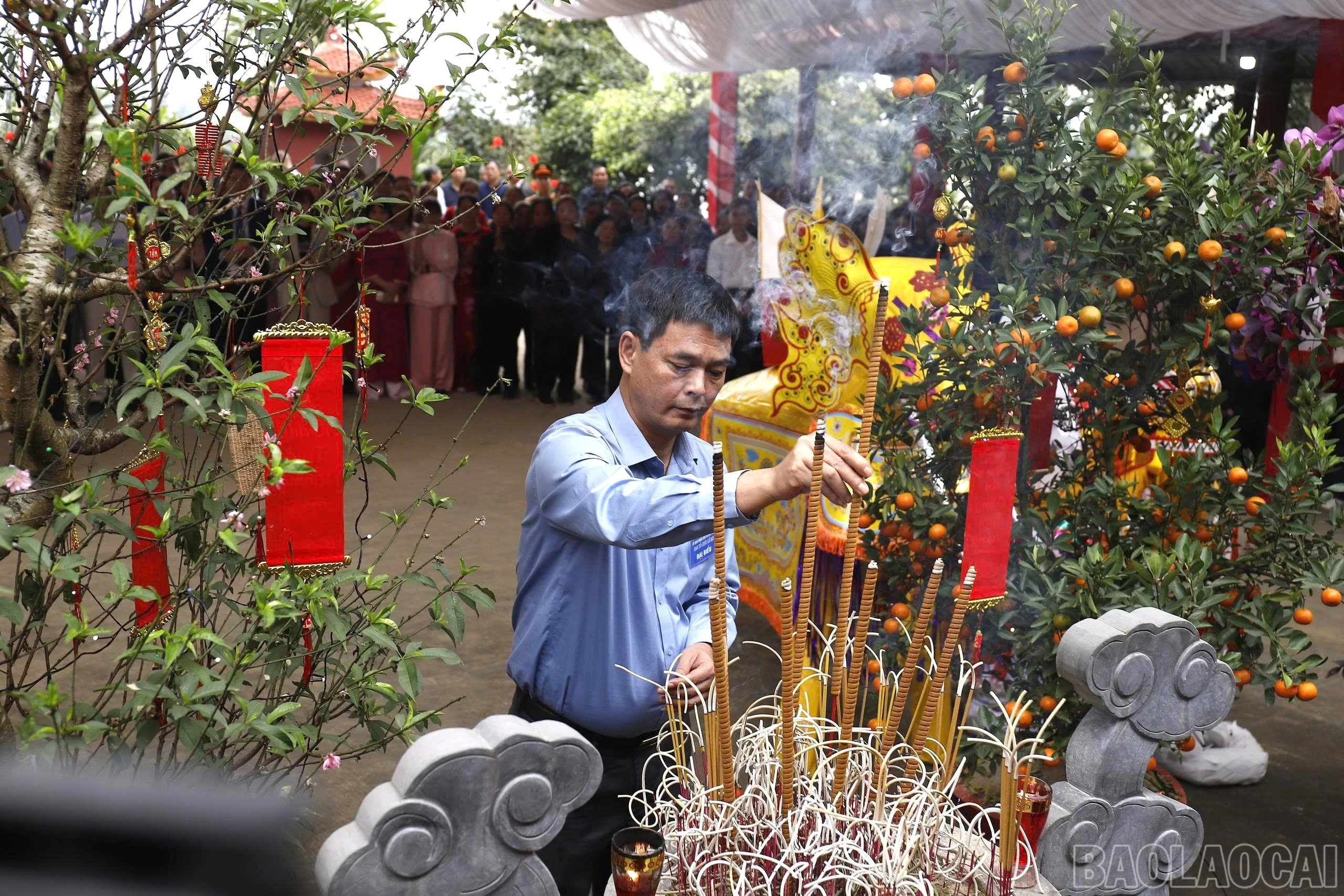 baolaocai-br_z7585596421052-291e7a71d2b76552dbed630af51a2cf1.jpg