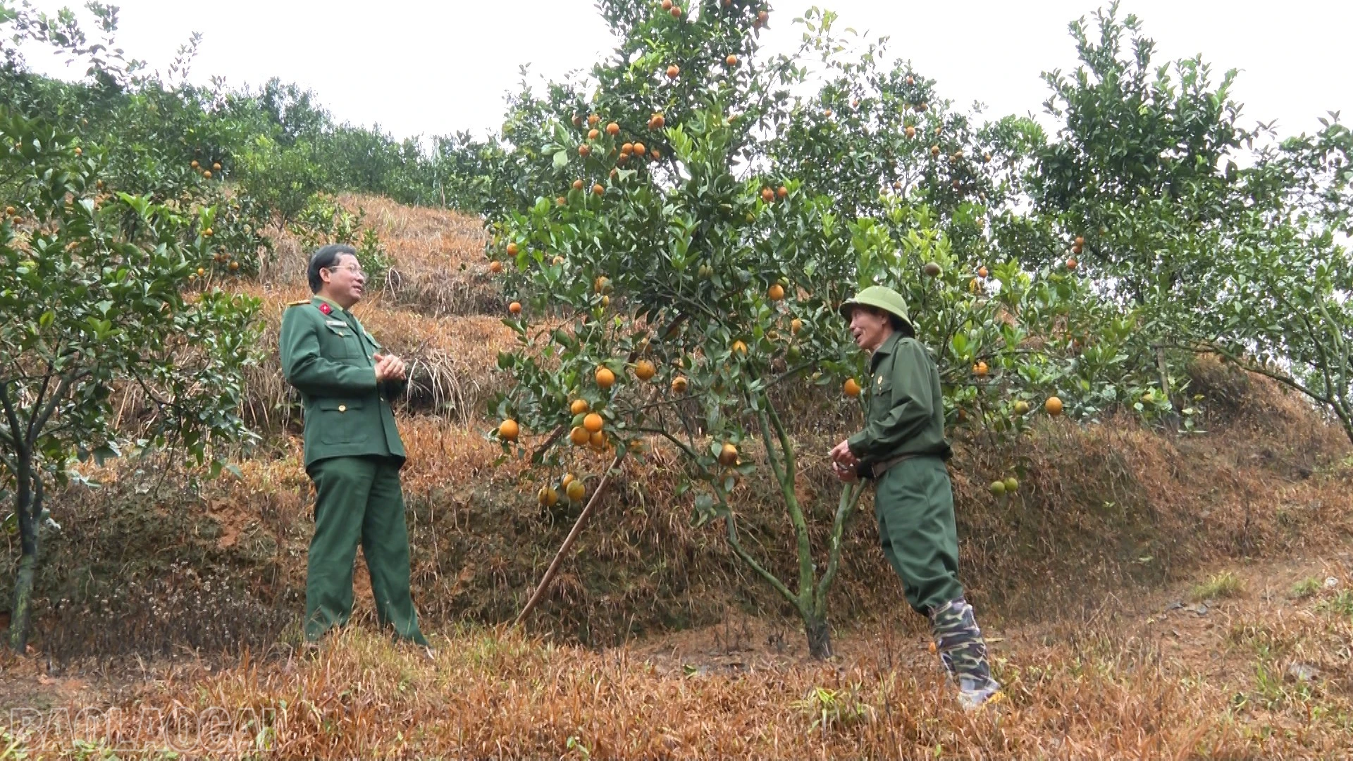 baolaocai-bl_anh-14.jpg