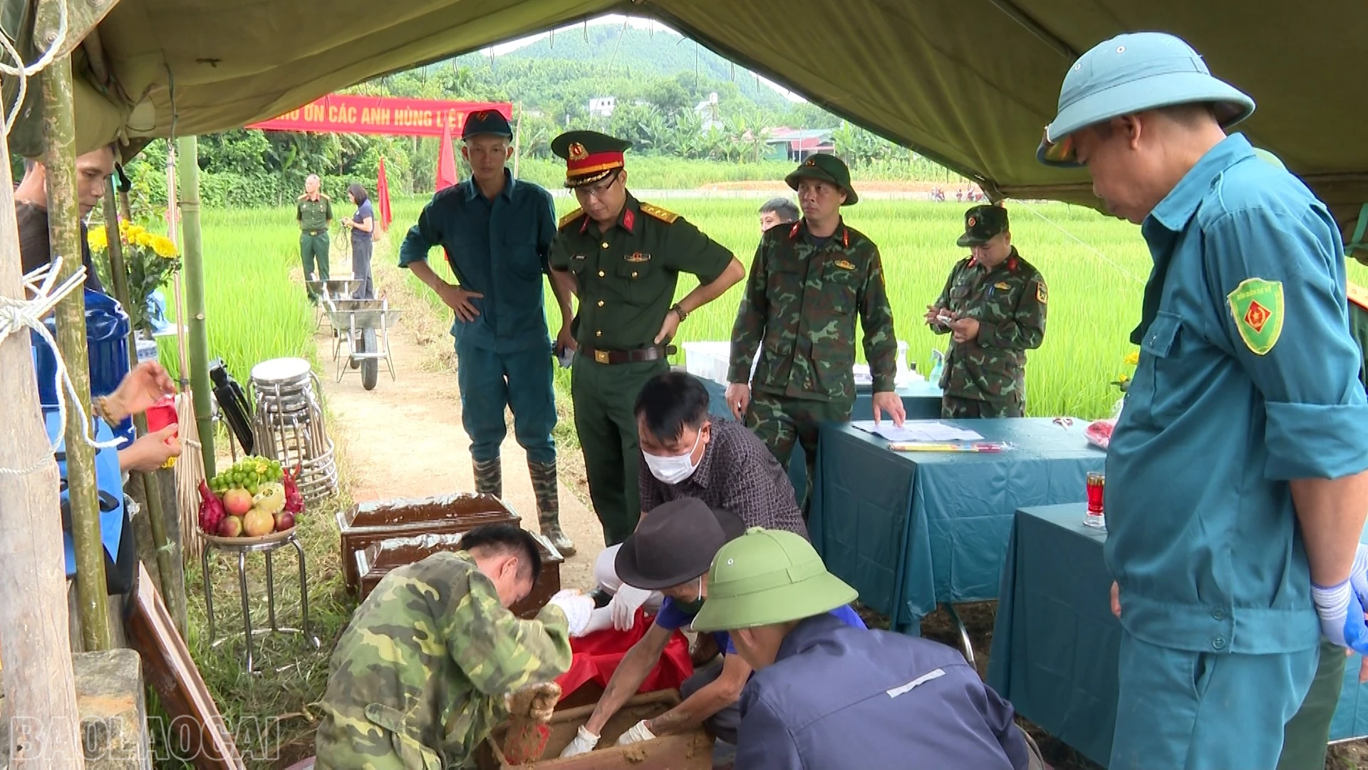 baolaocai-bl_anh-5.jpg