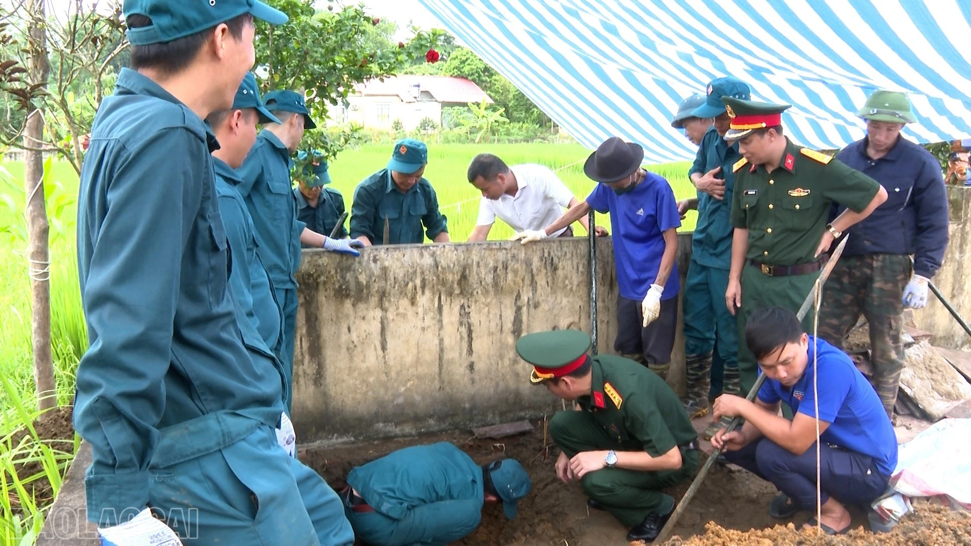 baolaocai-bl_anh-9.jpg