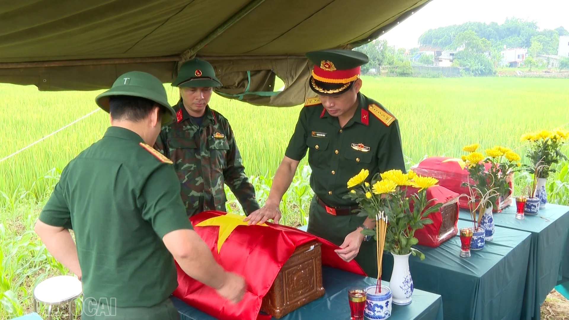 baolaocai-bl_anh-10.jpg