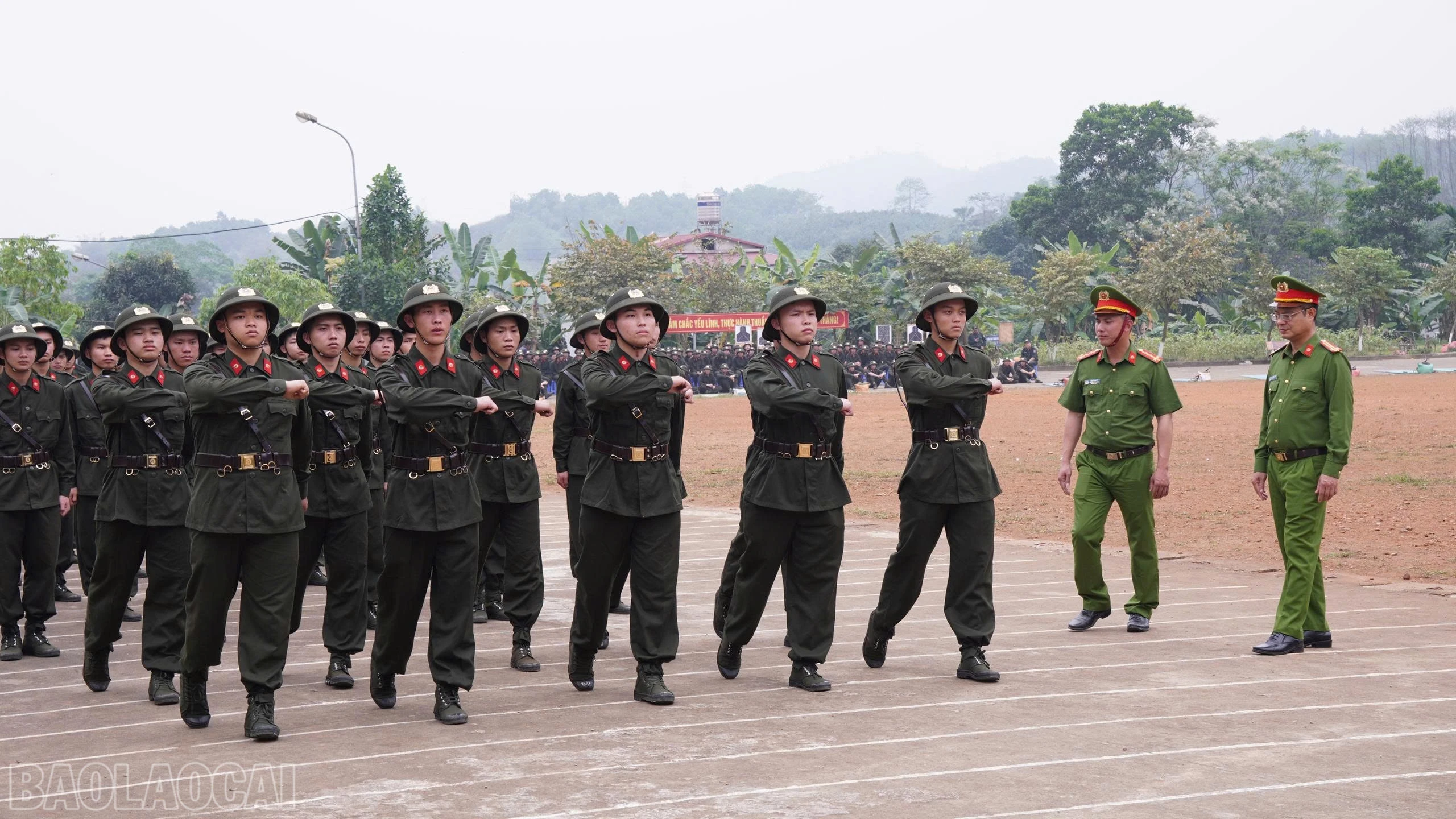 baolaocai-bl_z7654540476705-71a7c76ddf7c1ccf1272b890c89f0815.jpg