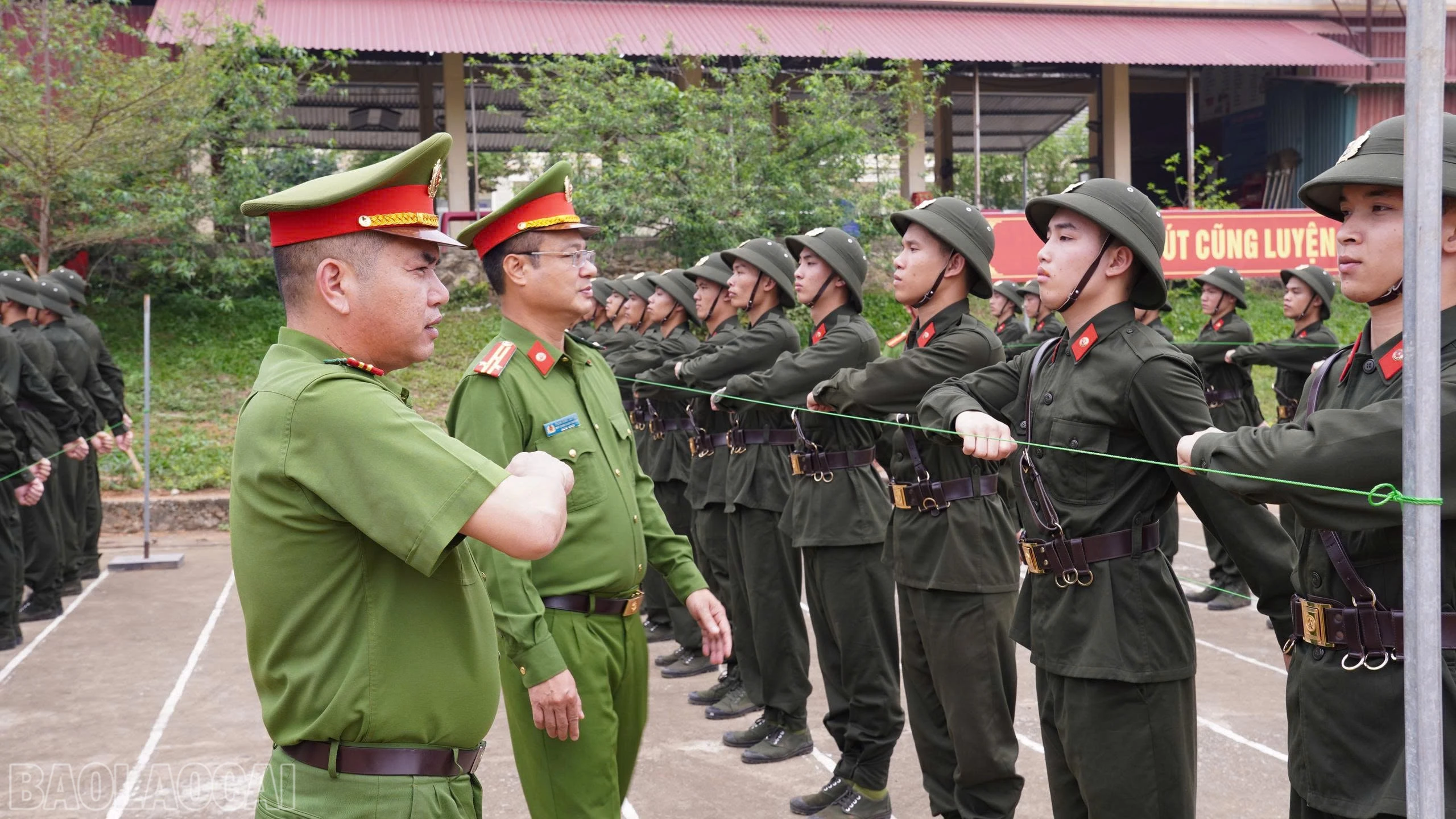baolaocai-bl_z7654540454433-4bf22ce2ea3c579aee0648c5164f13ee.jpg