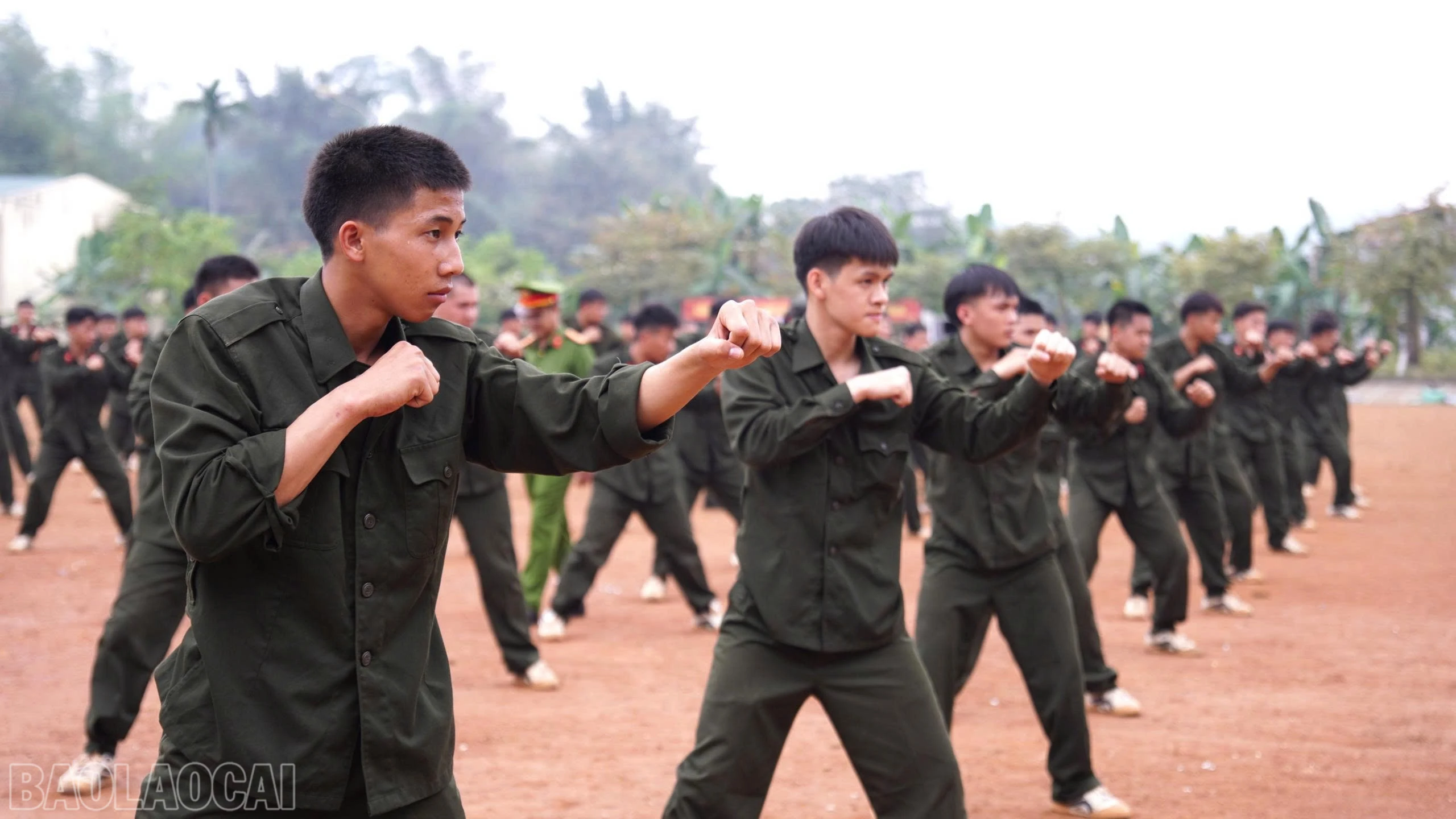 baolaocai-bl_z7654540463354-e172e1a30d1ece305b44cc04daeaa3cb.jpg