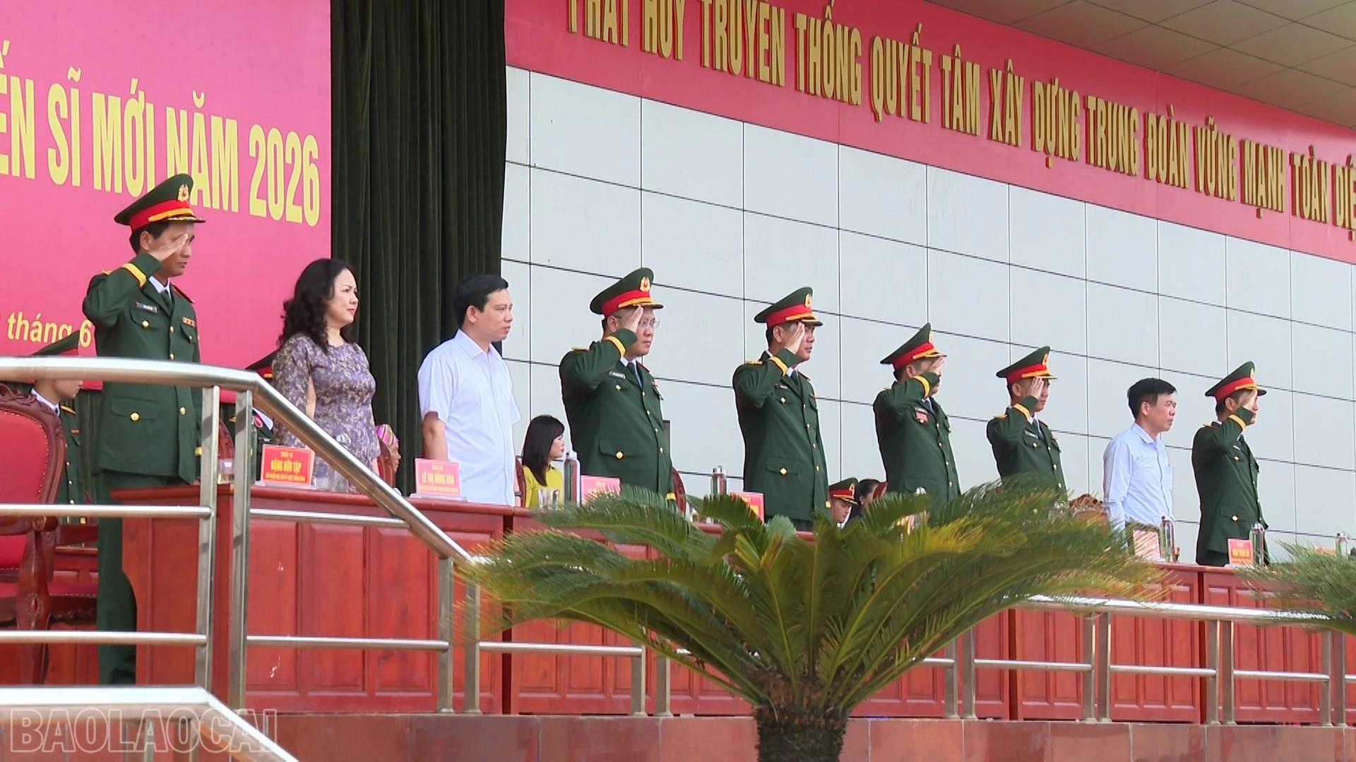 baolaocai-bl_anh-14-1.jpg