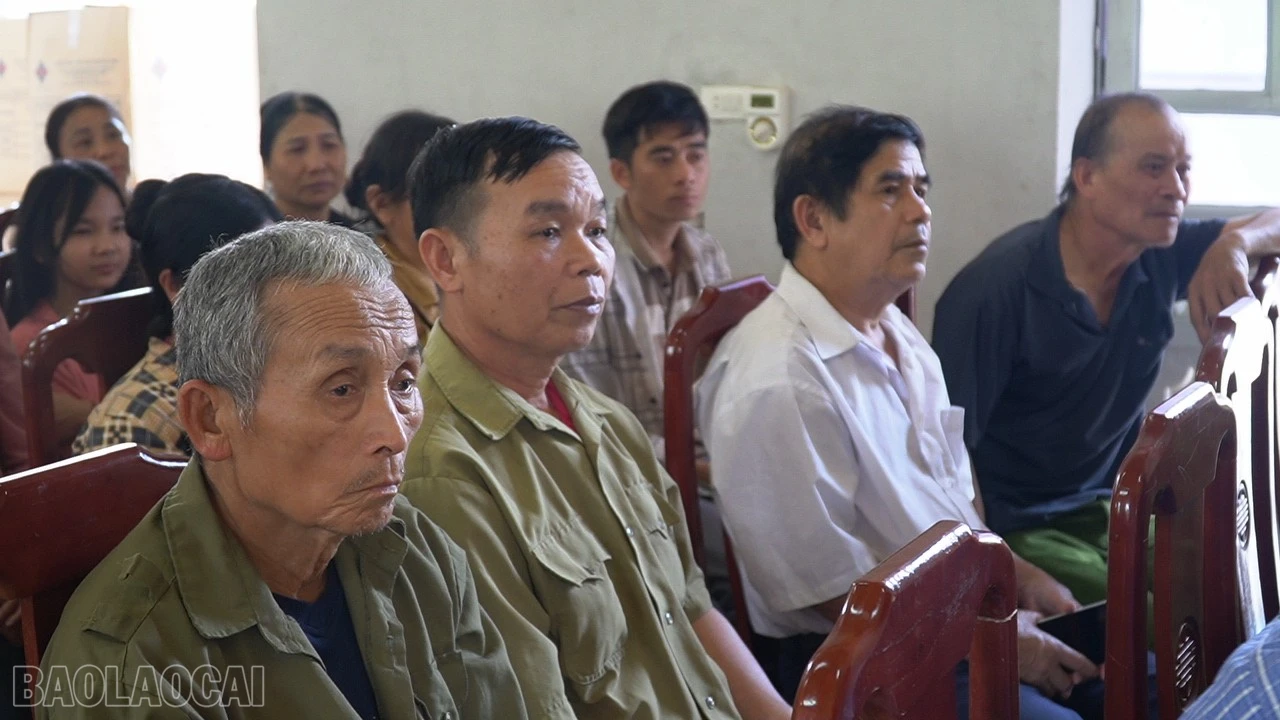 baolaocai-bl_c0009t01.jpg