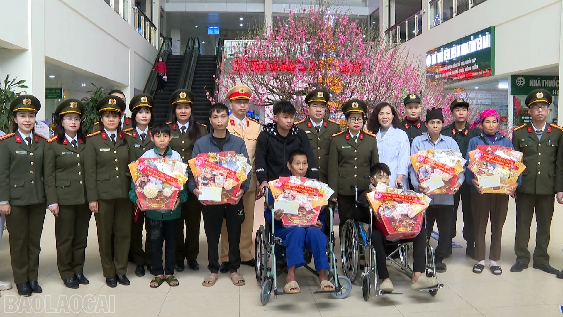 baolaocai-bl_anh-3.jpg