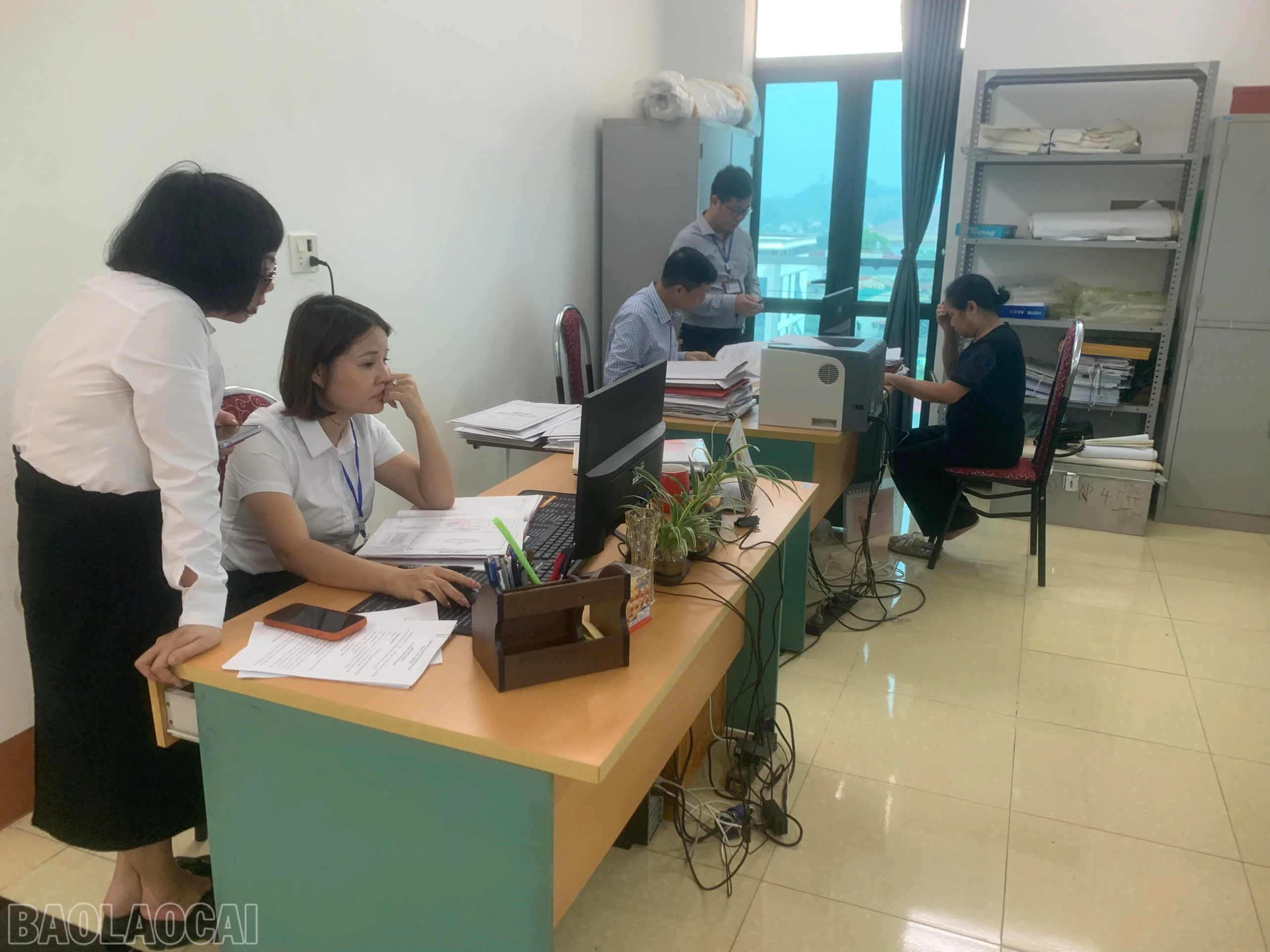 baolaocai-bl_z7695208422721-3dc4908614b16b5a7ab9a8ef71920e75.jpg