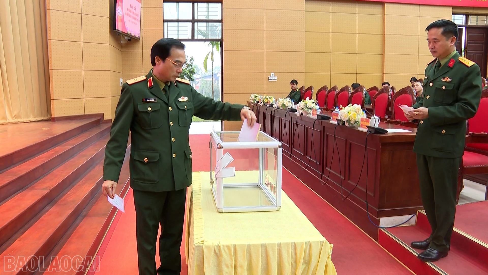 baolaocai-bl_anh-5.jpg