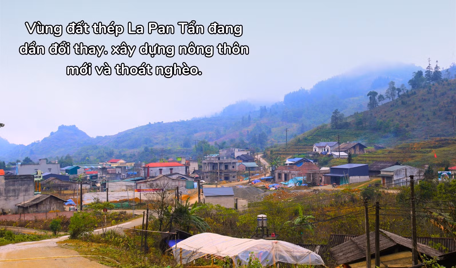 73.jpg