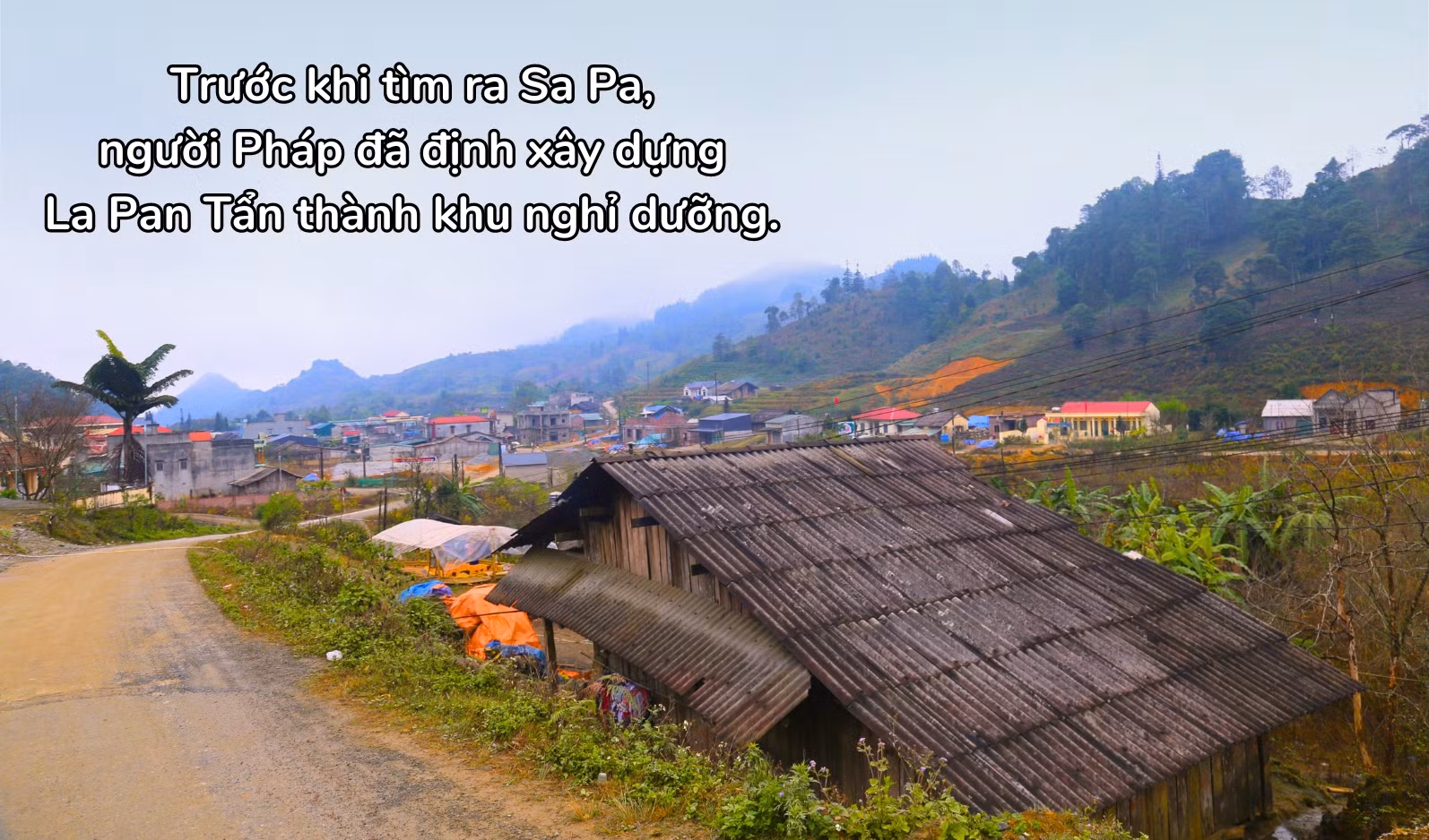 74.jpg