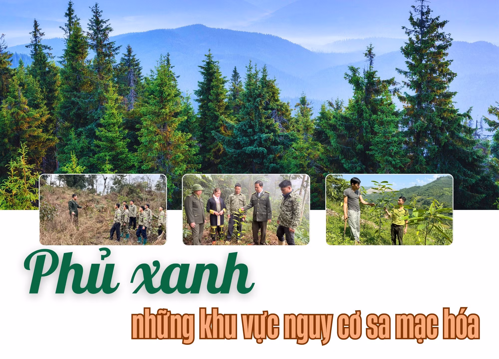 Phủ xanh những khu vực nguy cơ sa mạc hóa