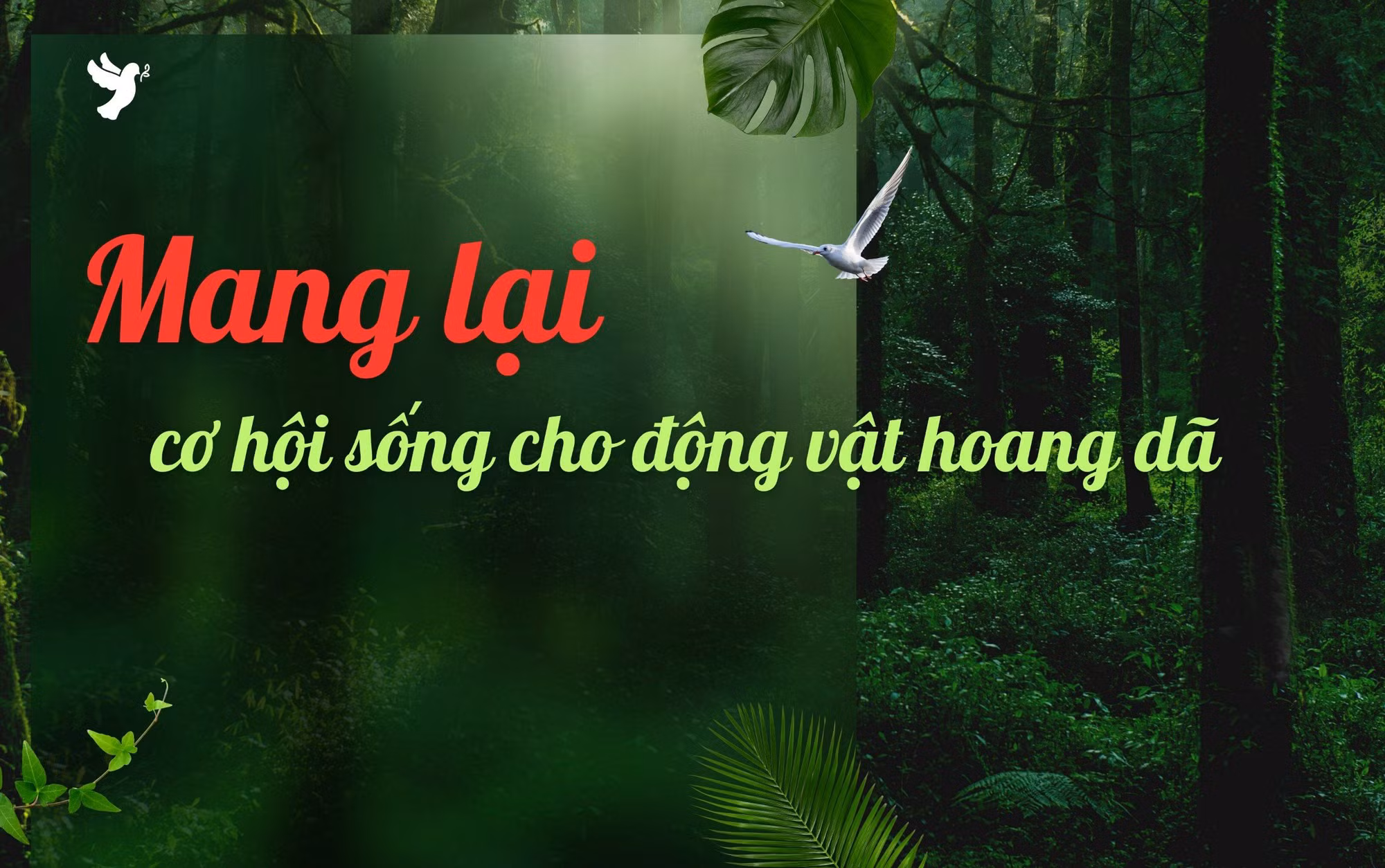 Mang lại cơ hội sống cho động vật hoang dã