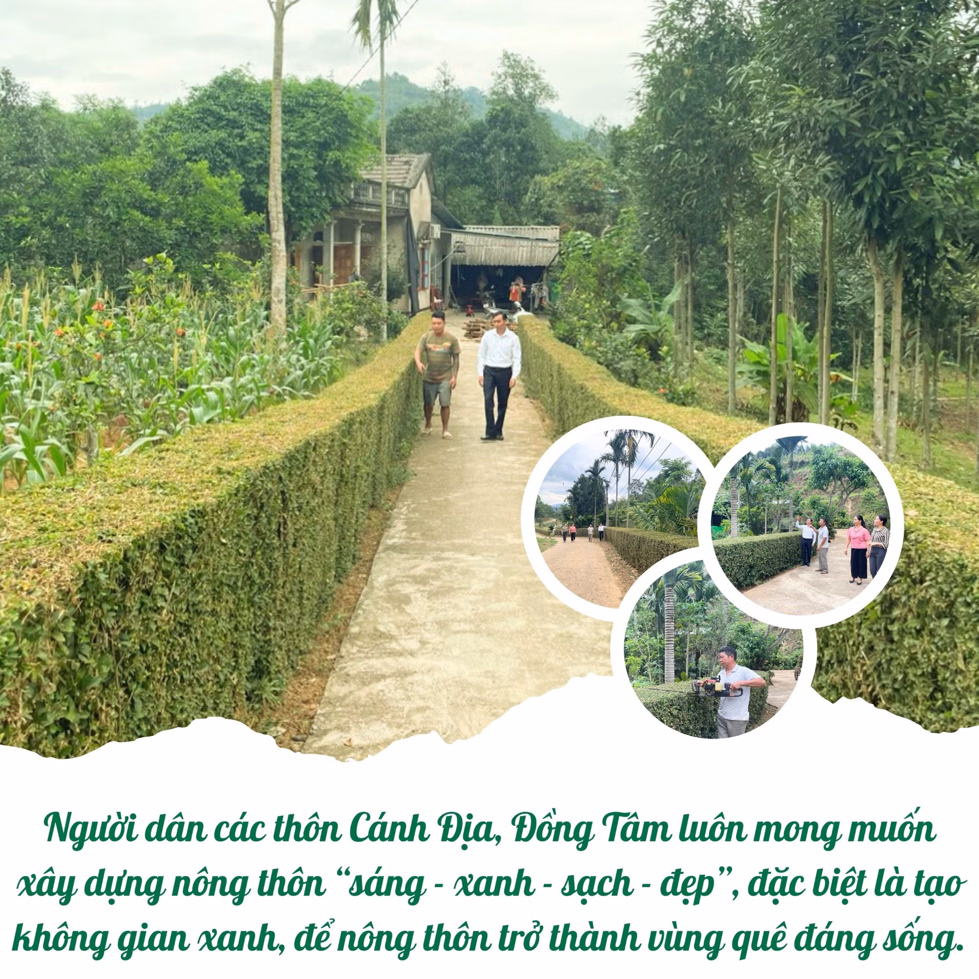 chuan.jpg