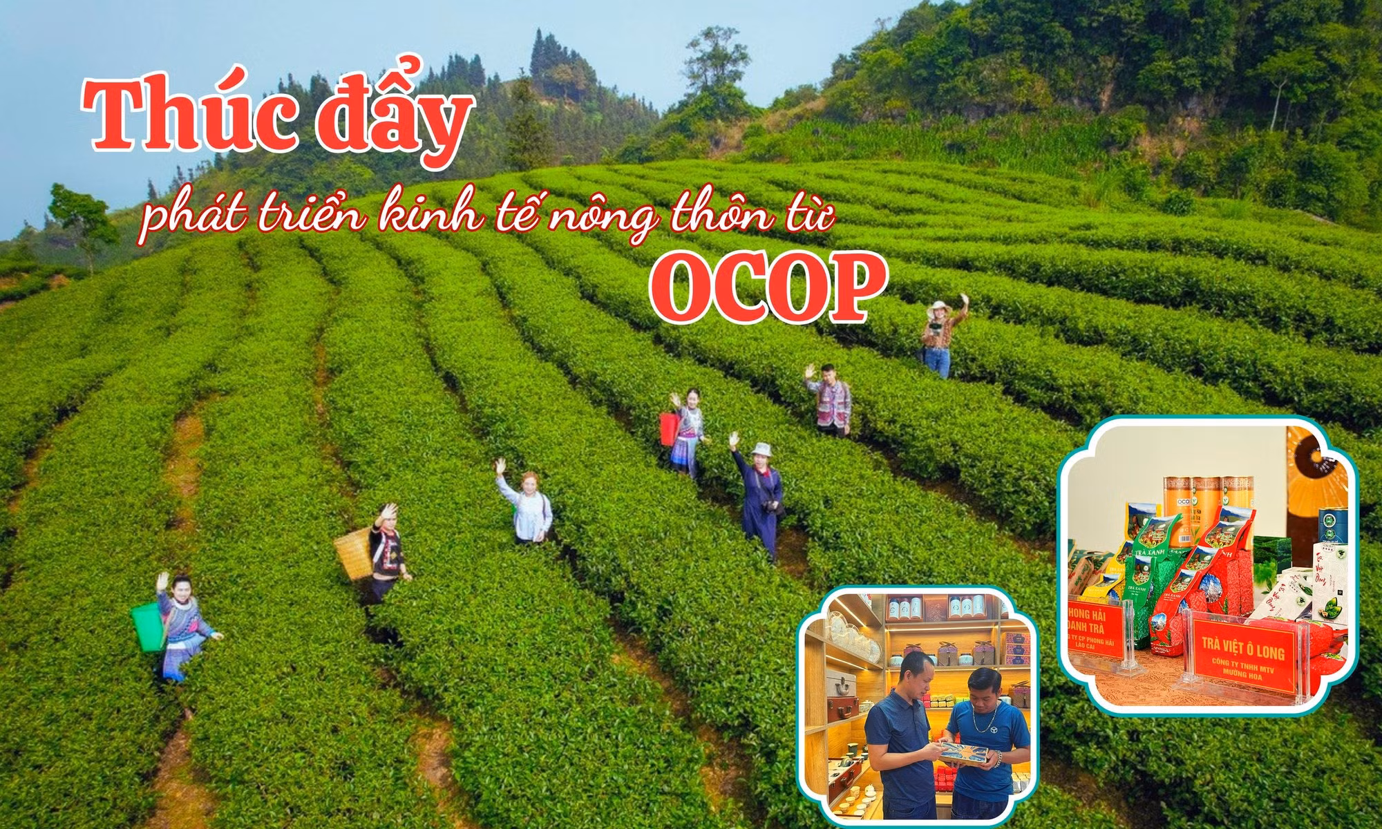 Thúc đẩy phát triển kinh tế nông thôn từ OCOP