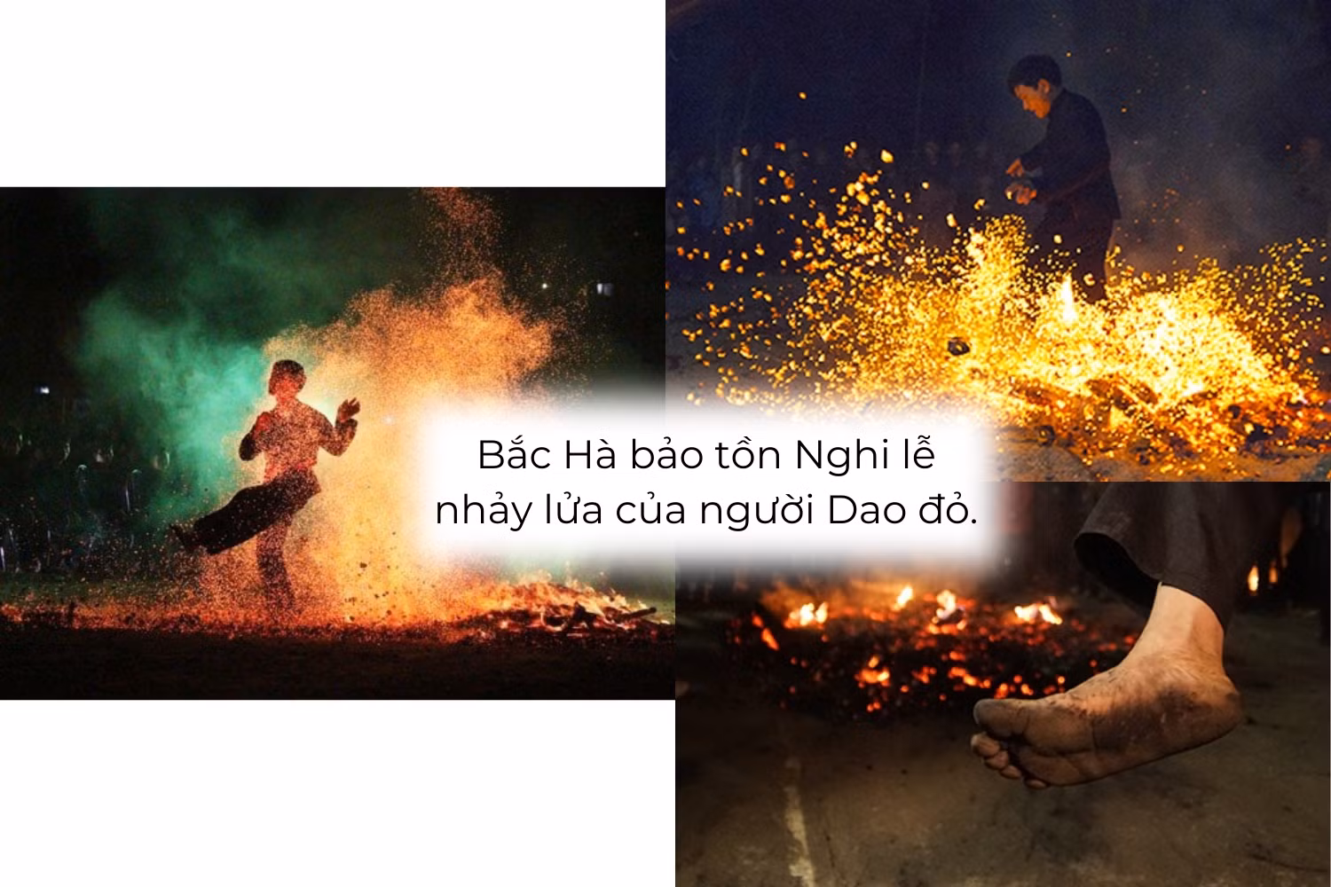 baoton3.png