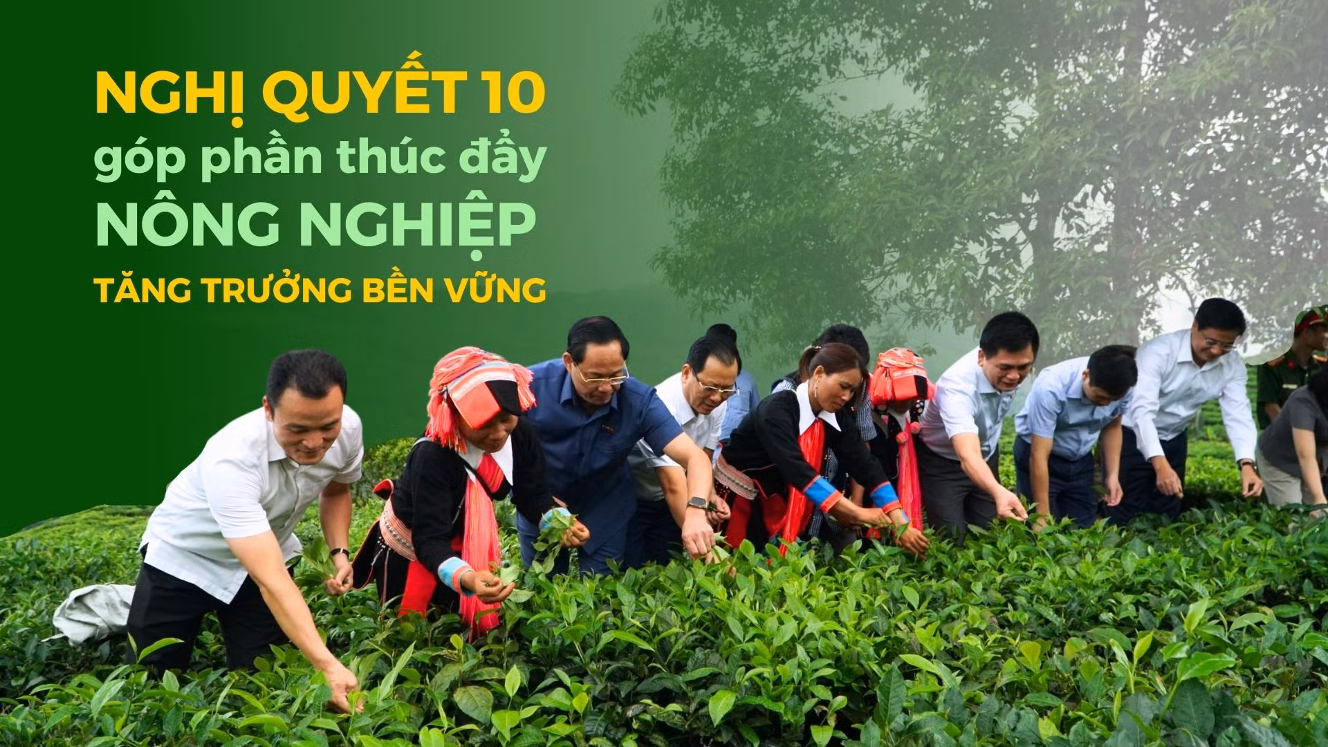 Nghị quyết 10 góp phần thúc đẩy nông nghiệp tăng trưởng bền vững
