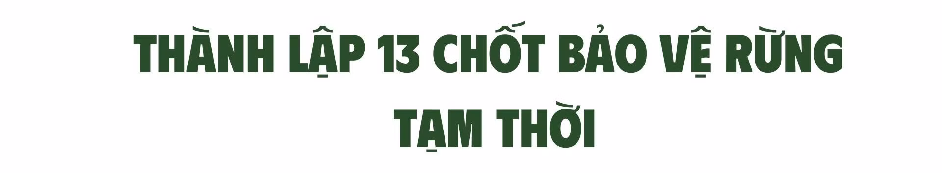 t1.jpg