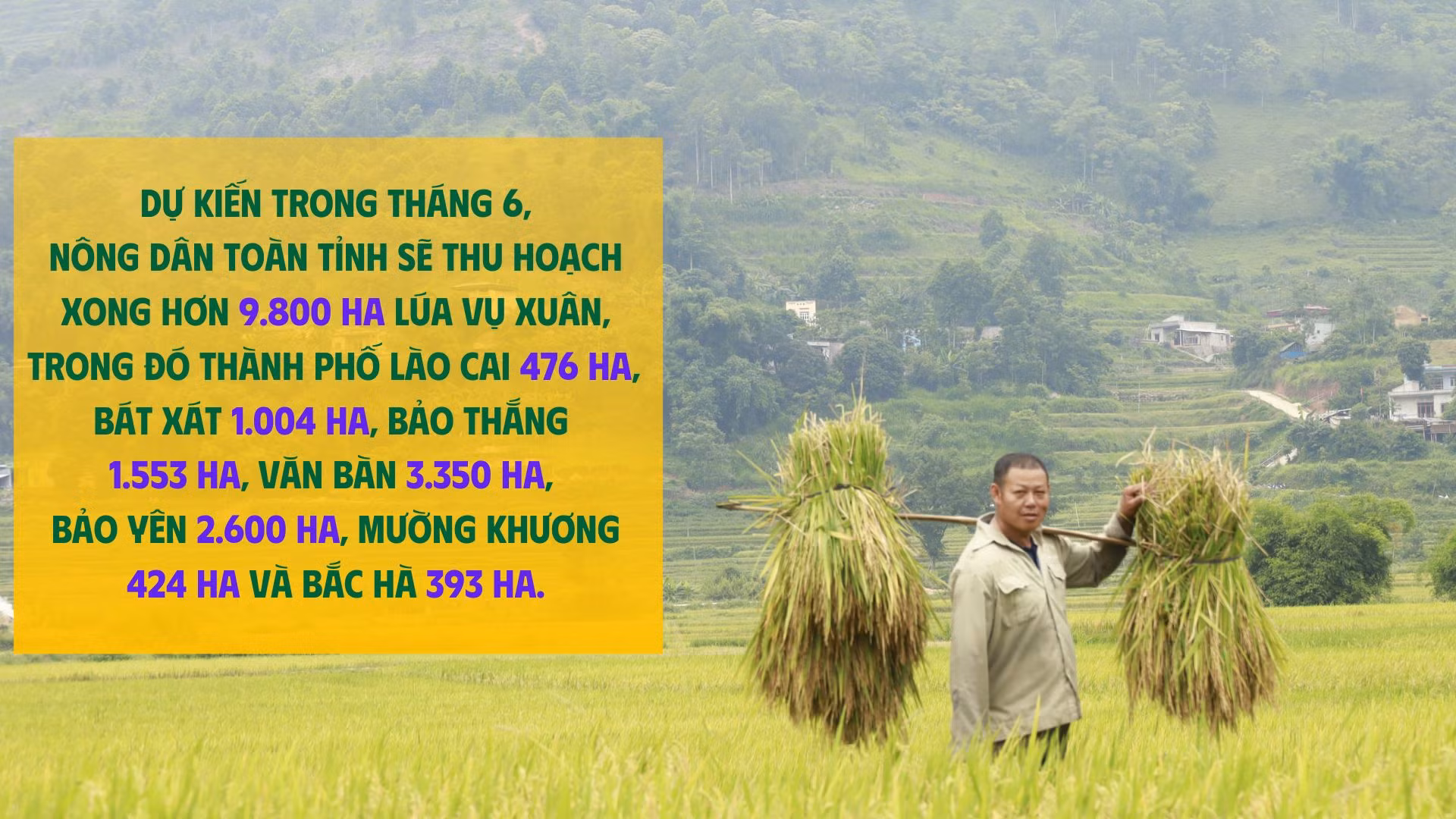 Nông dân (1).jpg