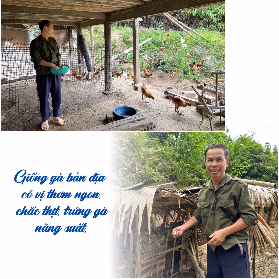 Mùa nước đổ ởTân tiến. - 8.jpeg