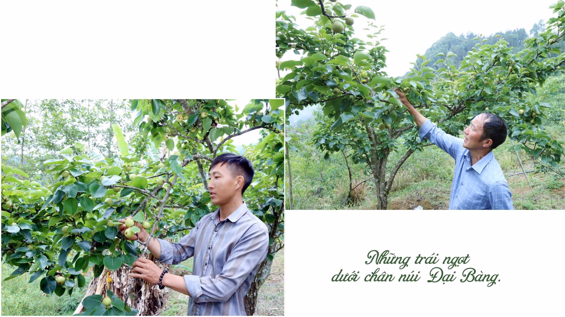 Tiêu đề.zip - 12.jpeg