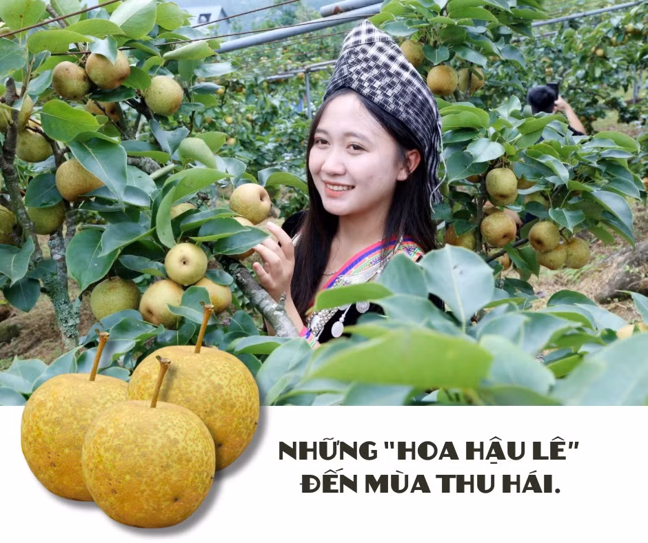 Lên Kin Chu Phìn - 7.jpeg