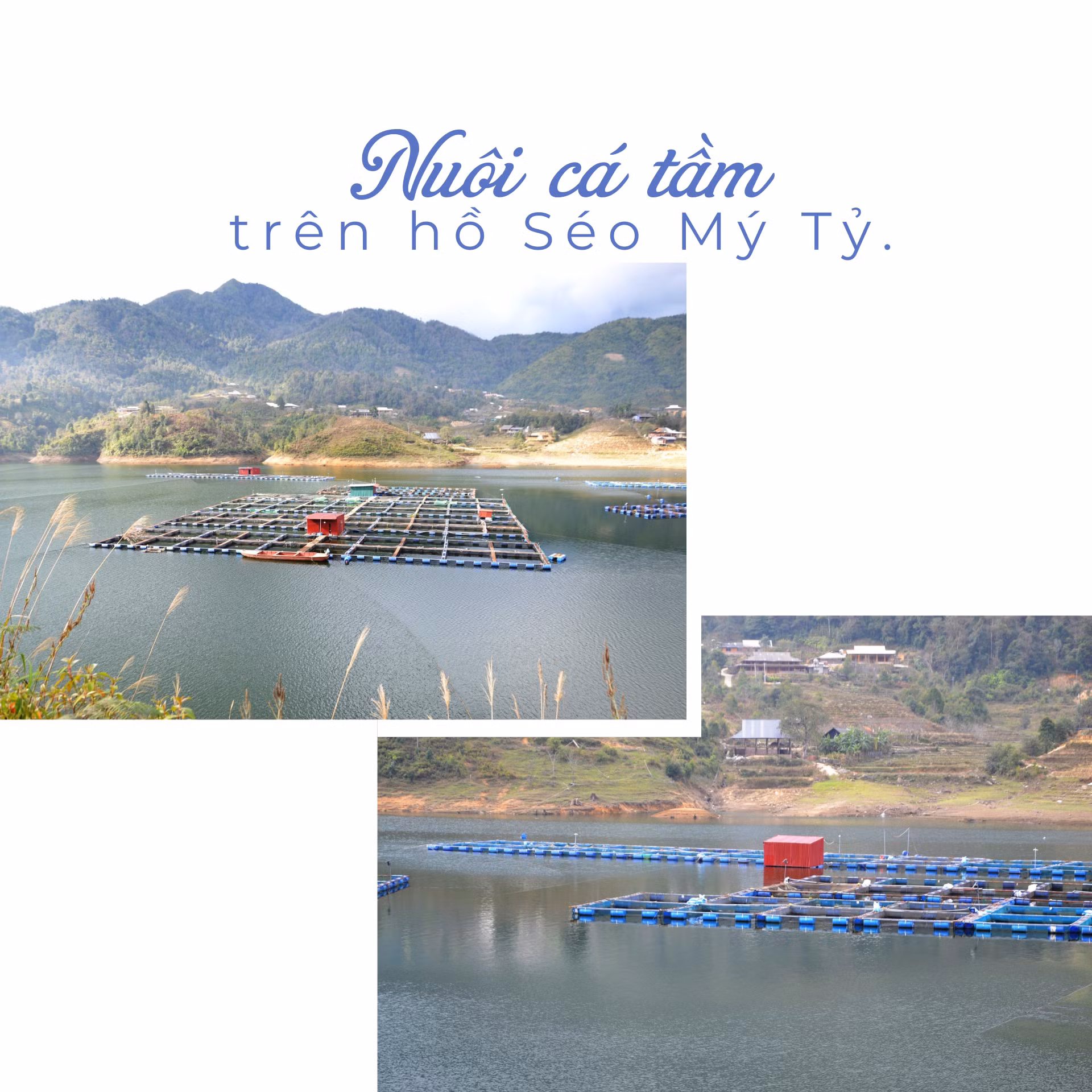  Tiếng đồng bào Giáy - 3.png