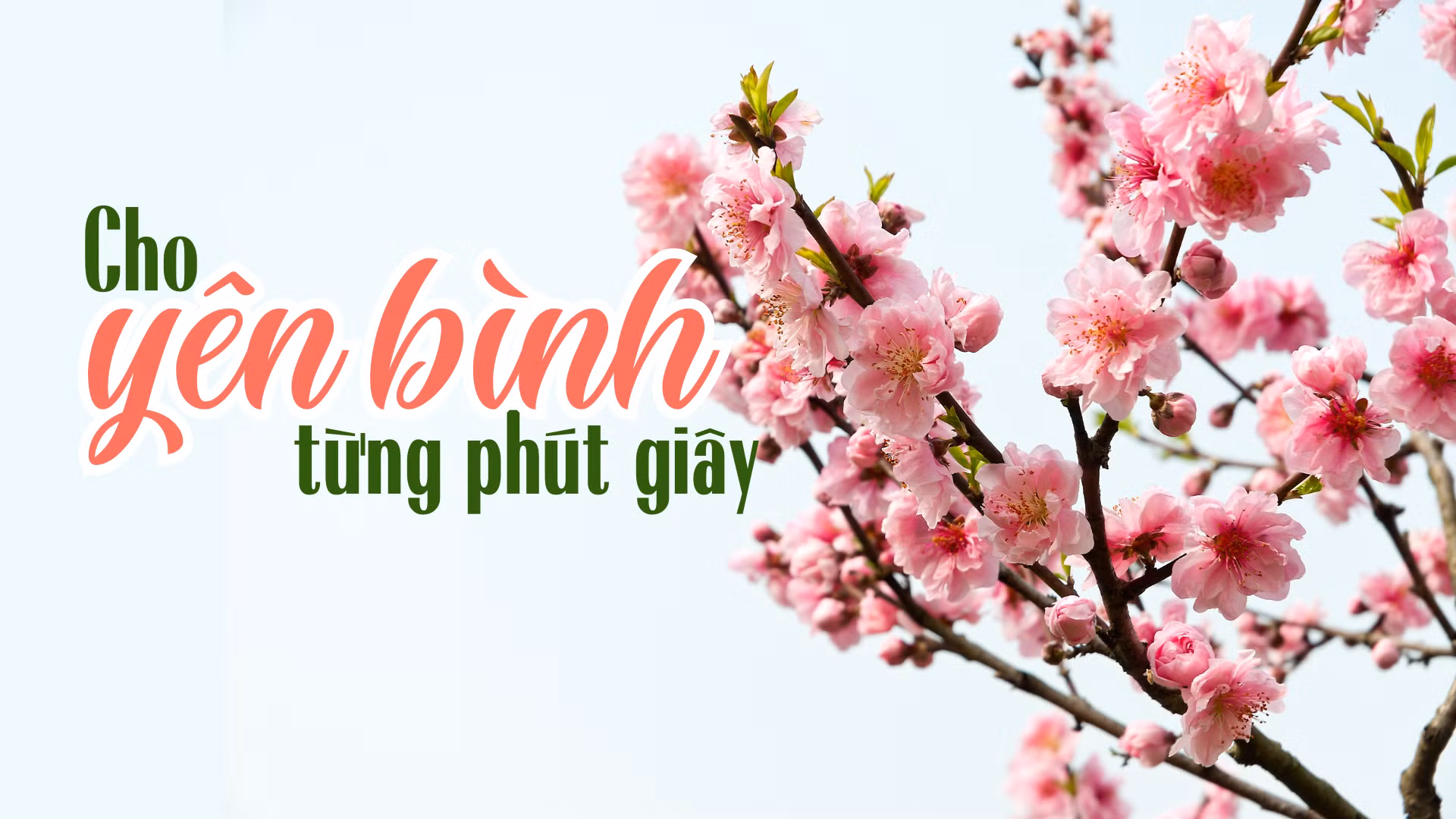 Cho yên bình từng phút giây