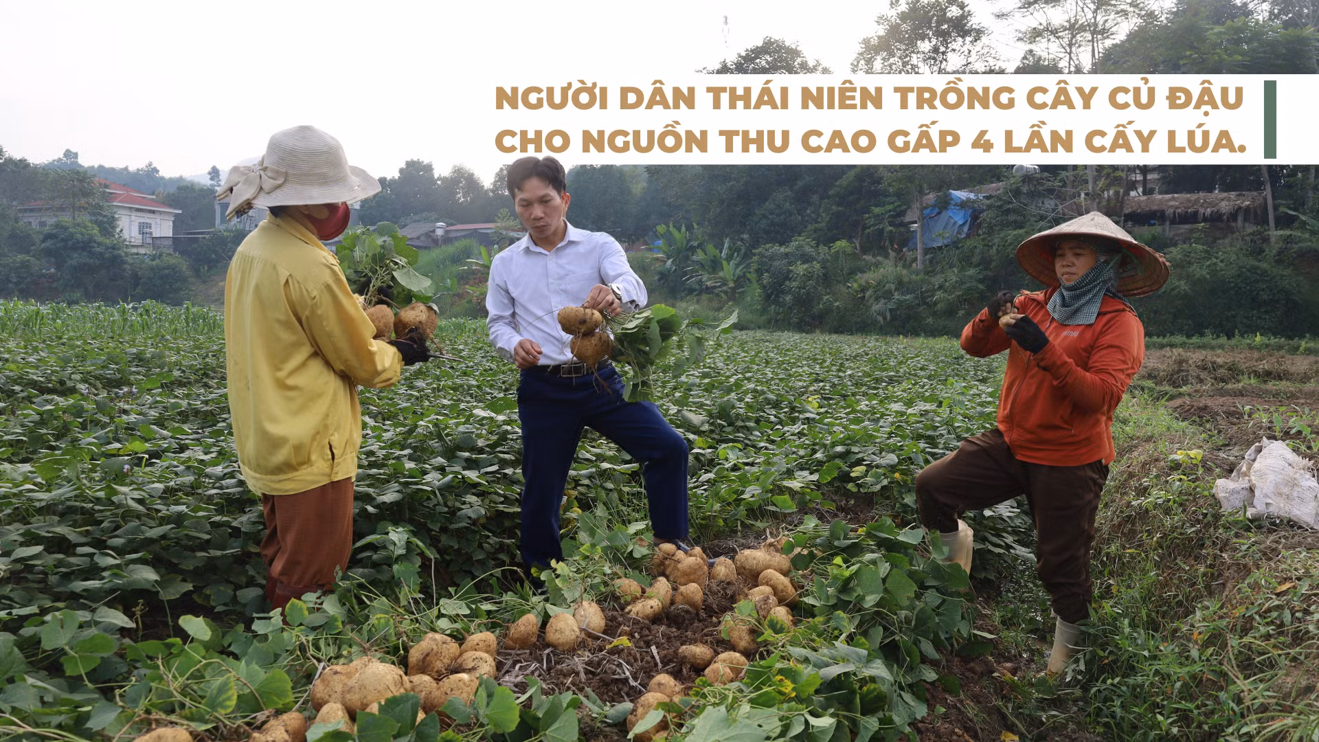 thai-nien-nhieu-giai-phap-giam-ngheo-ben-vung-5-8568.png
