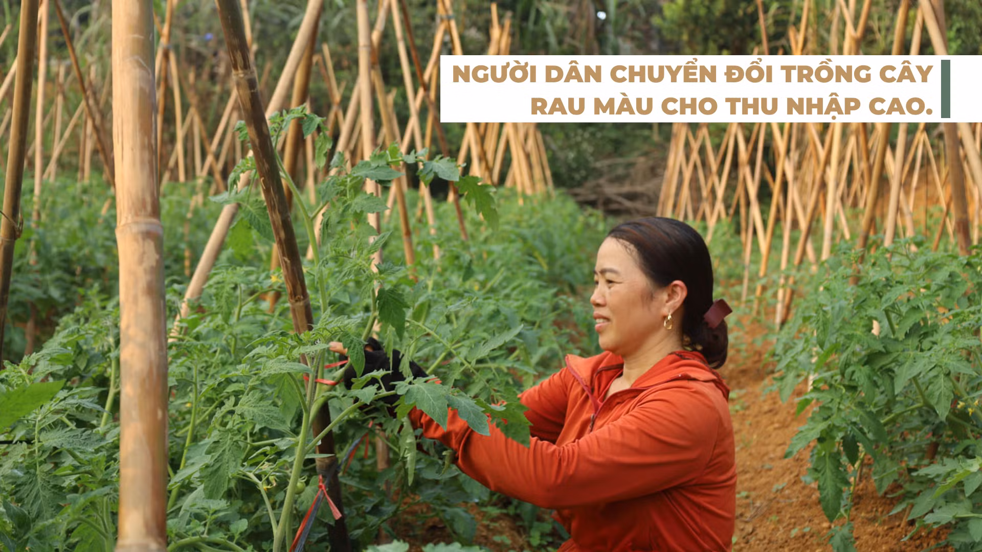 thai-nien-nhieu-giai-phap-giam-ngheo-ben-vung-6-12.png