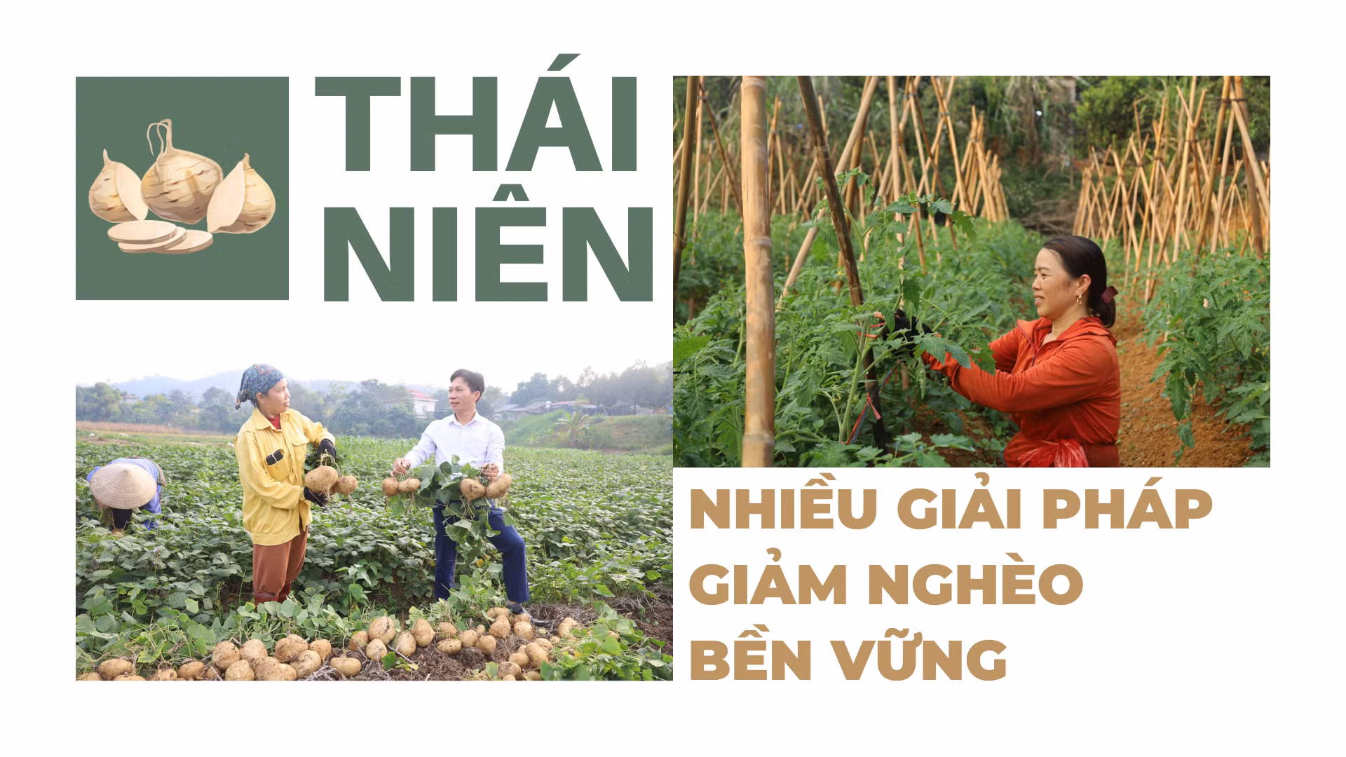 Thái Niên: Nhiều giải pháp giảm nghèo bền vững