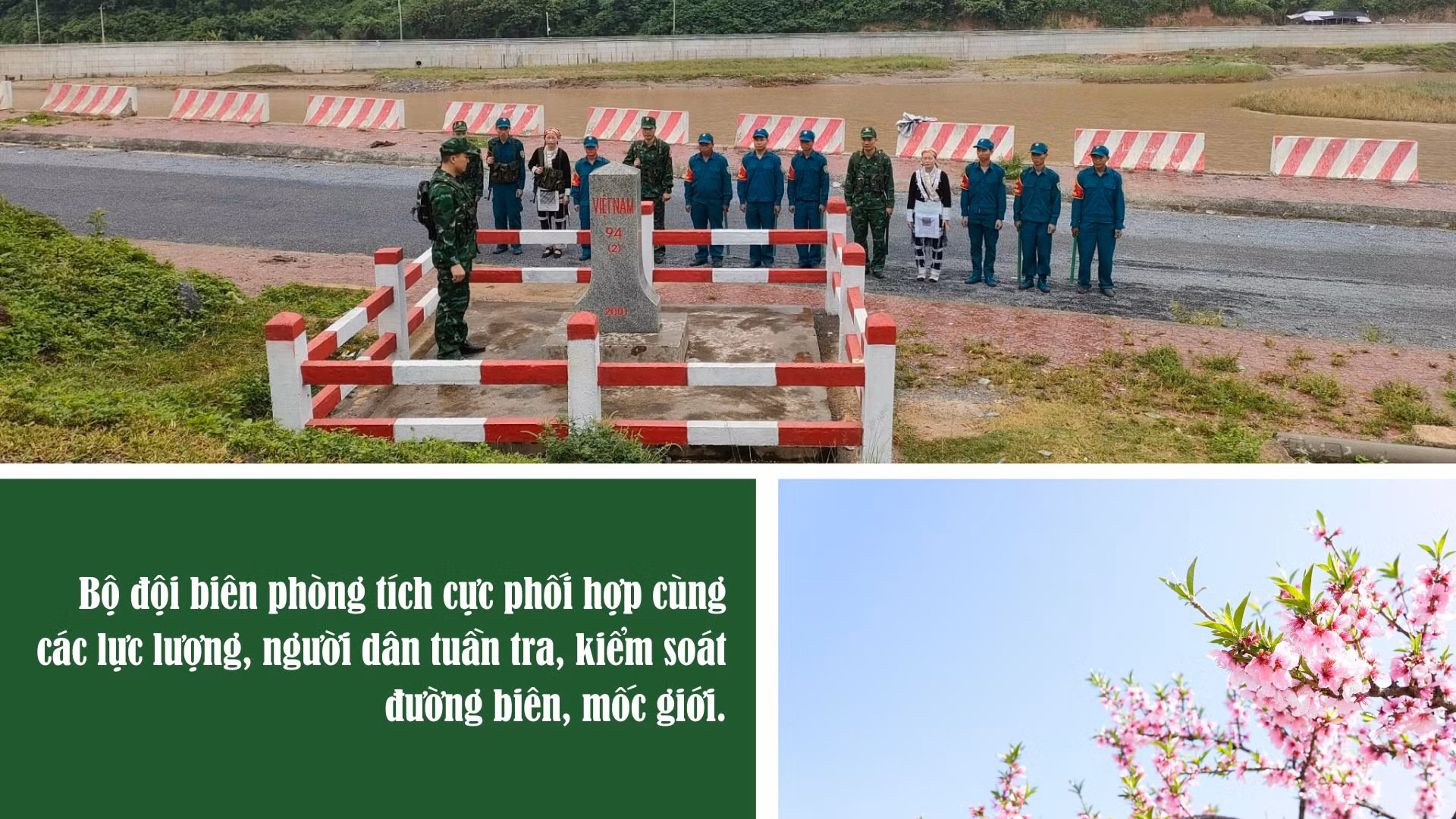 2345643.png