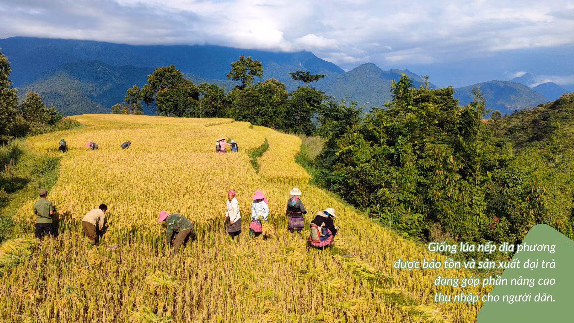 doi-thay-o-vung-cao-nam-xay-3-4376.png