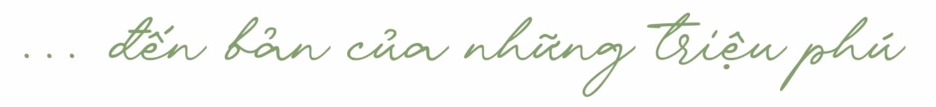 11-7884-6274.png
