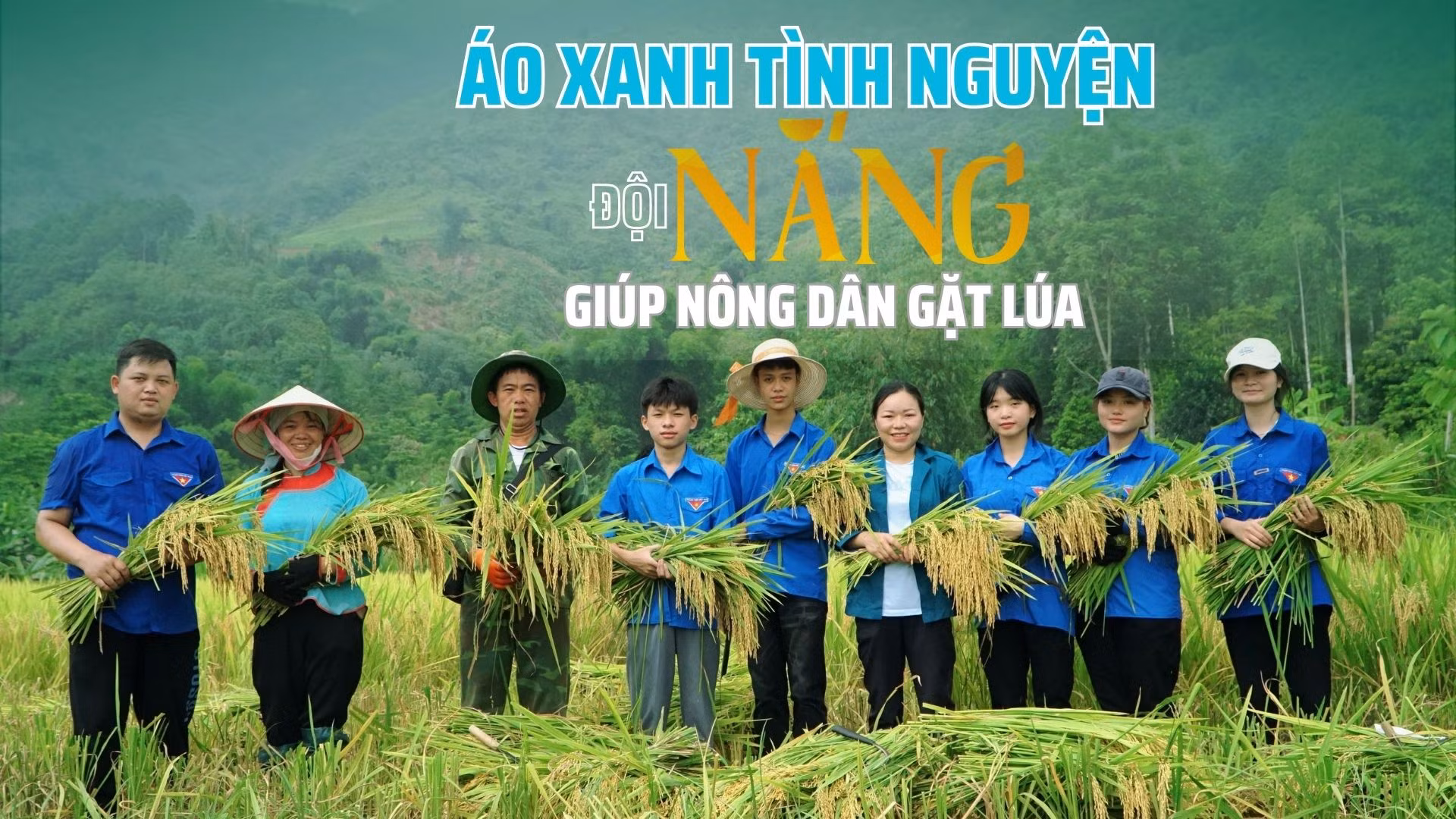 Áo xanh tình nguyện "đội nắng" giúp nông dân gặt lúa